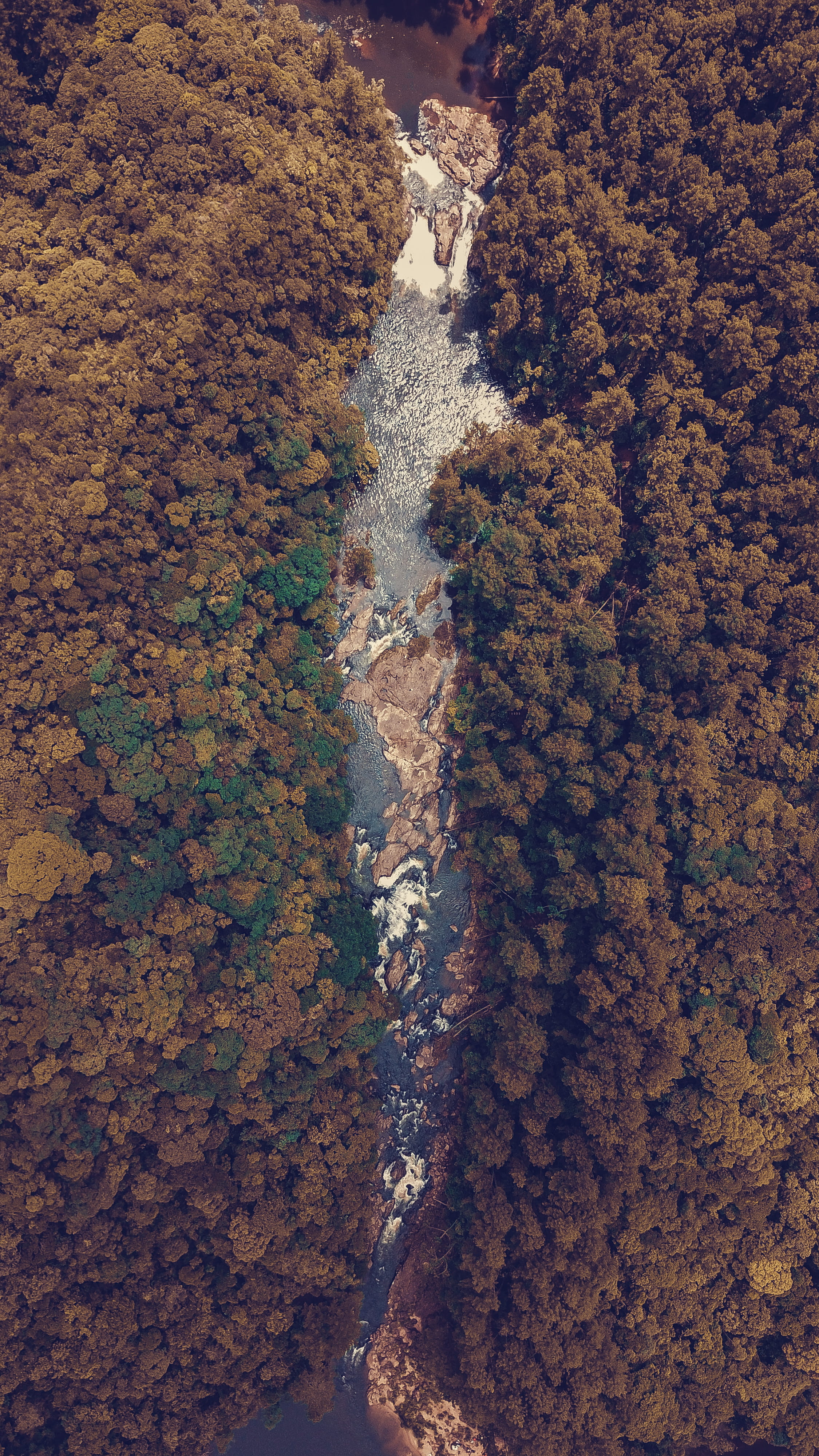tranquility, trees, mountain, minecraft, 4K, fractal, tranquil scene, day, no people, rock, pattern, scenery, rug, travel destinations, nature, algae, Phone HD Wallpaper