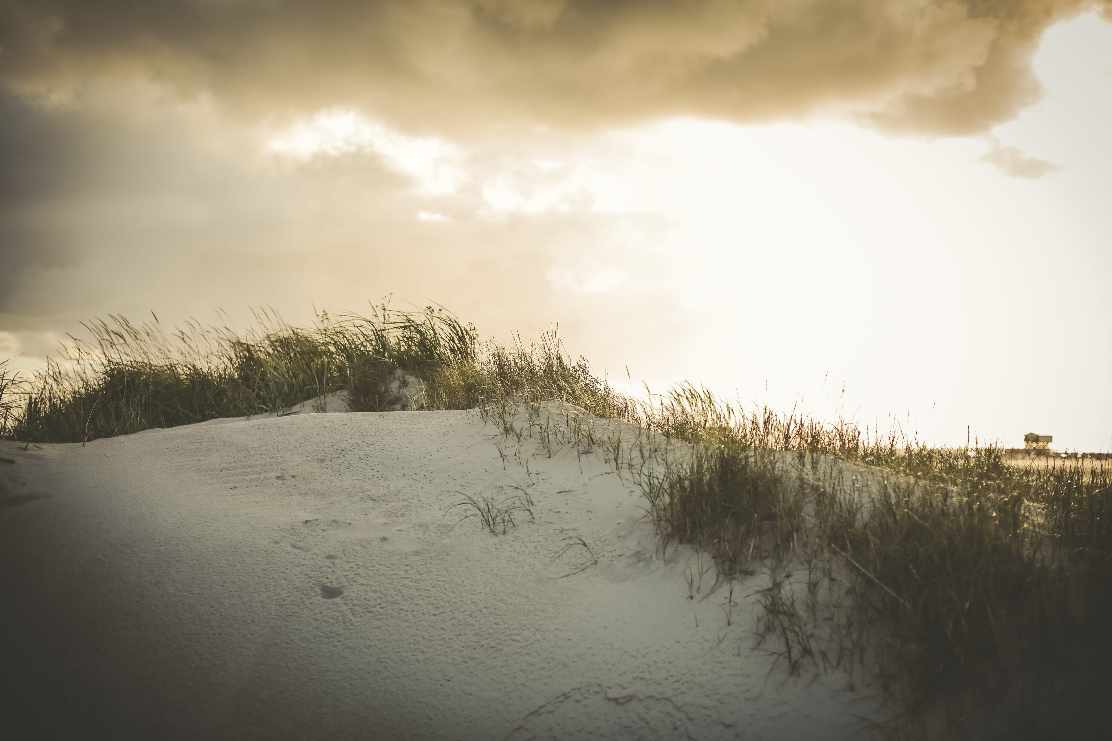 weather, wanderlust, north, land, soil, day, storm, fog, dark, grass, cloud - sky, beach, dune, tree, reflection, wind, tranquil scene, fernweh, gras, nature, HD Wallpaper
