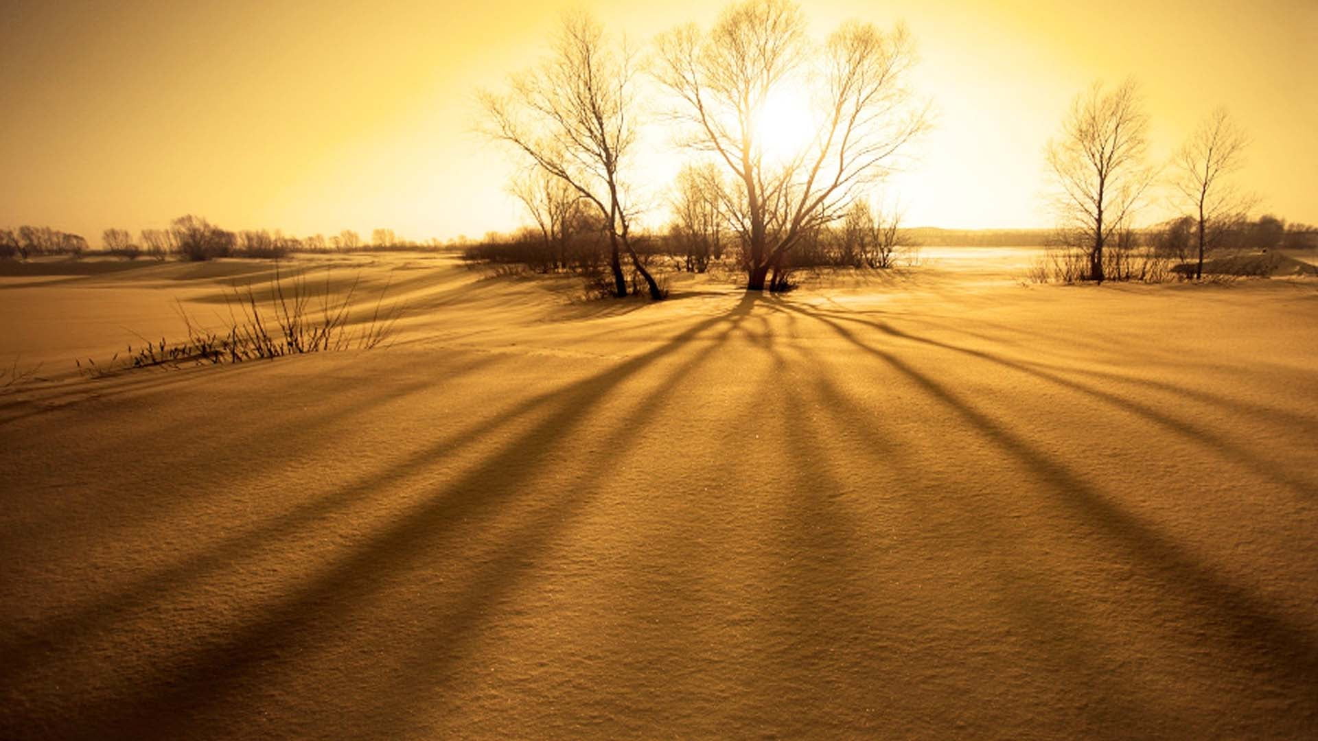 sunlight, field, orange, outdoors, silhouette, nature, dune, tourism, coast, tropical, sunset, travel, land, outdoor, soil, tranquility, asphalt, sun, winter, HD Wallpaper