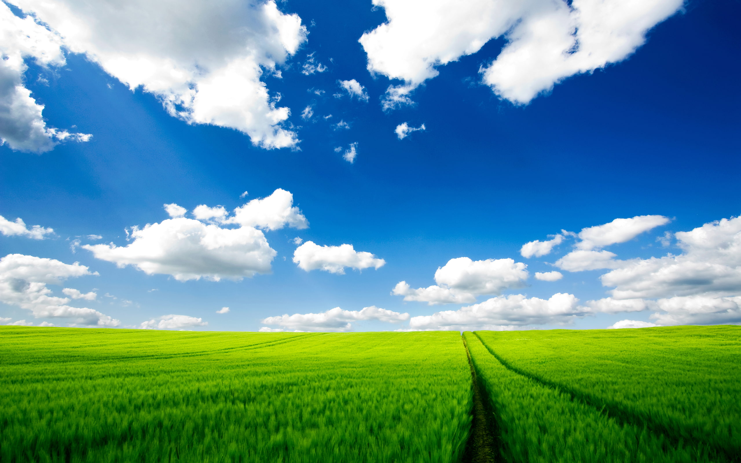 2K, nature, pure, hd, HD Wallpaper