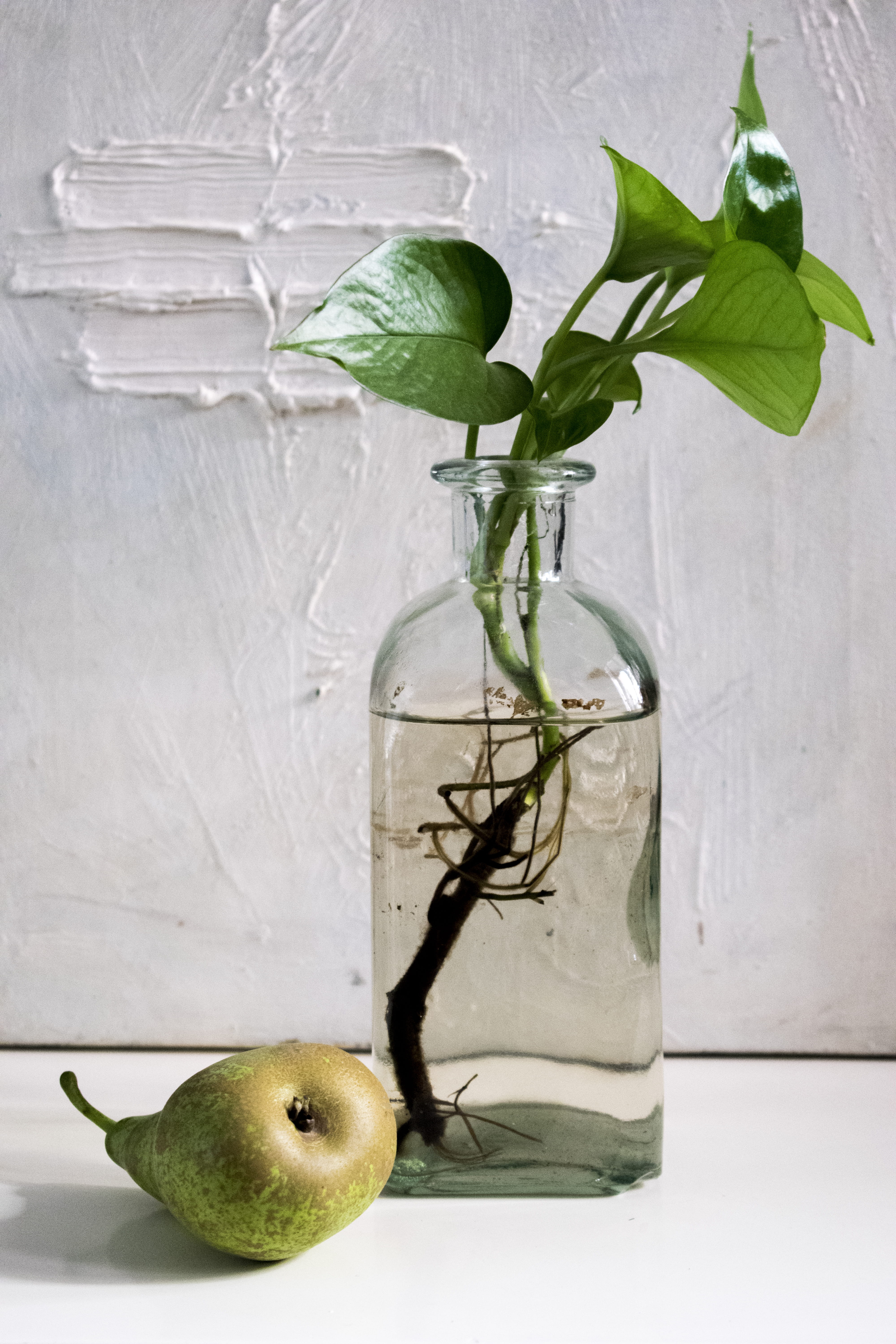 food, composición, indoors, plant part, fruta, luaz, wellbeing, freshness, no people, 5K, food and drink, plant, apple - fruit, pear, fruit, pera, still life, Phone HD Wallpaper