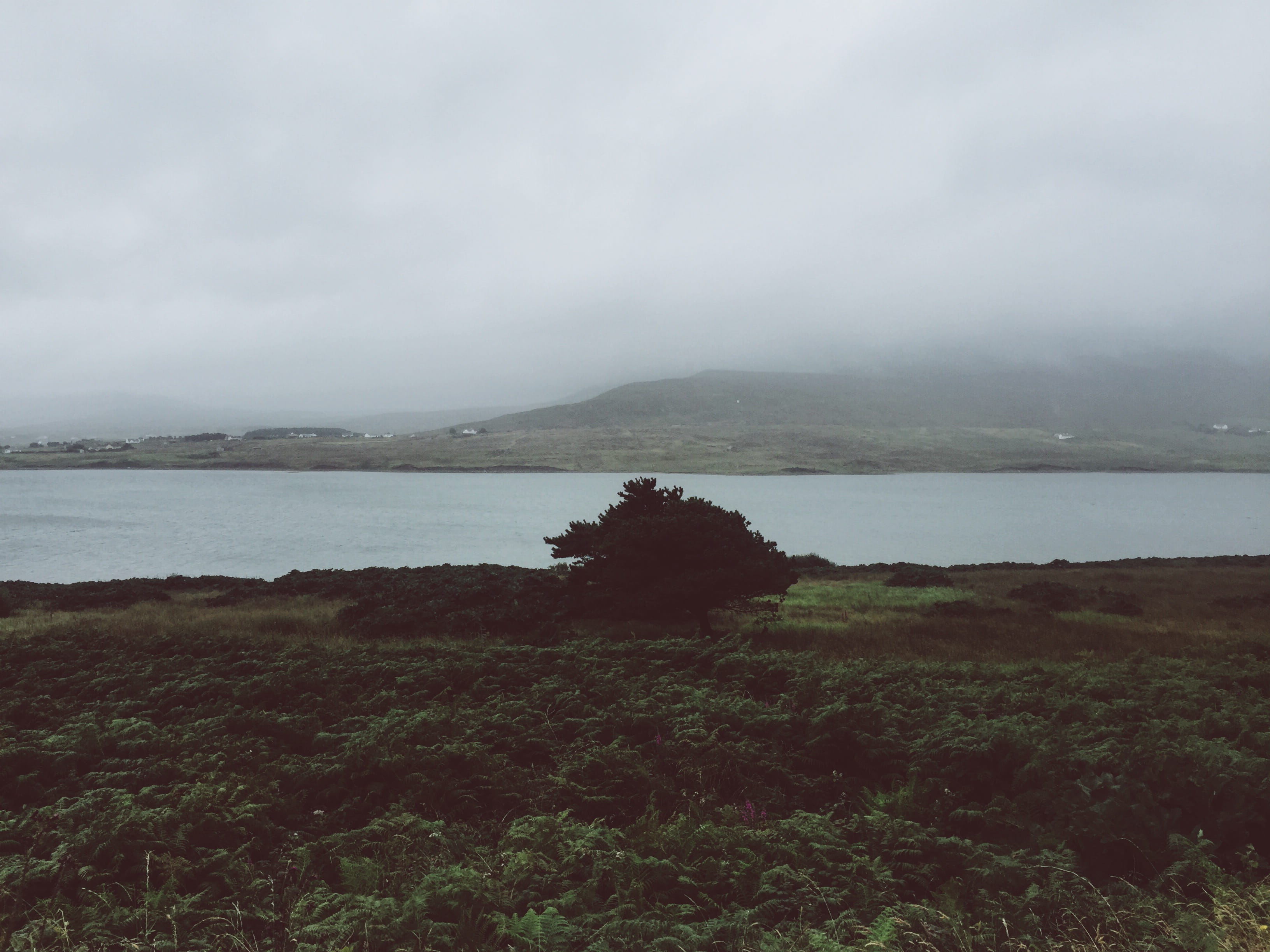 non-urban scene, cloud - sky, outdoors, mountain, sea, nature, tranquility, fog, tree, water, day, plant, environment, idyllic, scenics - nature, sky, mayo, HD Wallpaper