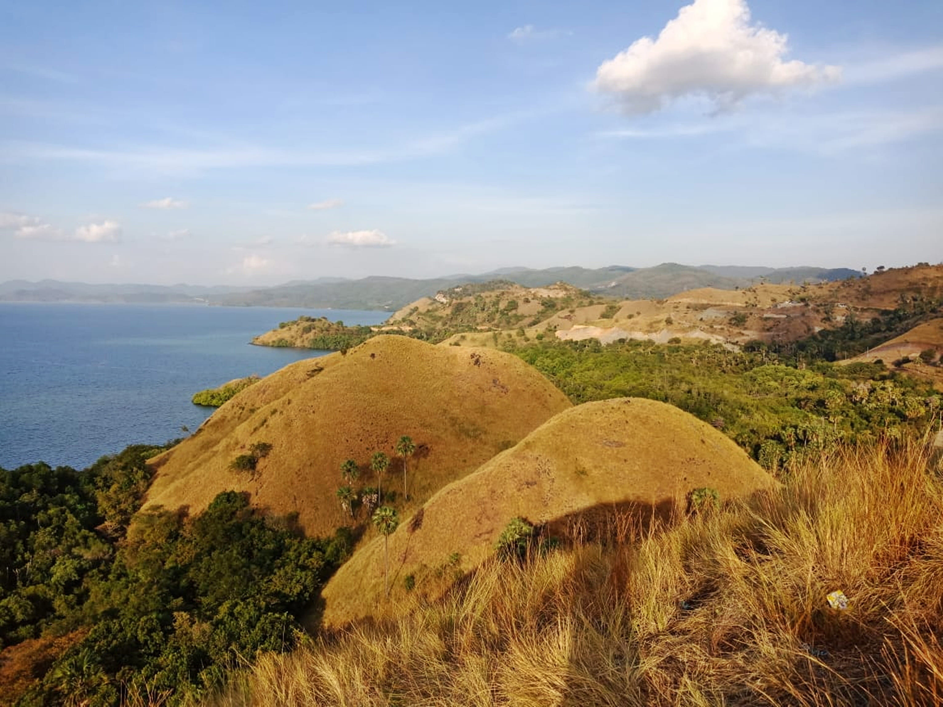 tranquil scene, landscape, non-urban scene, beautiful, growth, nature, tree, 2K, cloud - sky, plant, labuan bajo, sky, pool, the sky, environment, the sky is blue, HD Wallpaper