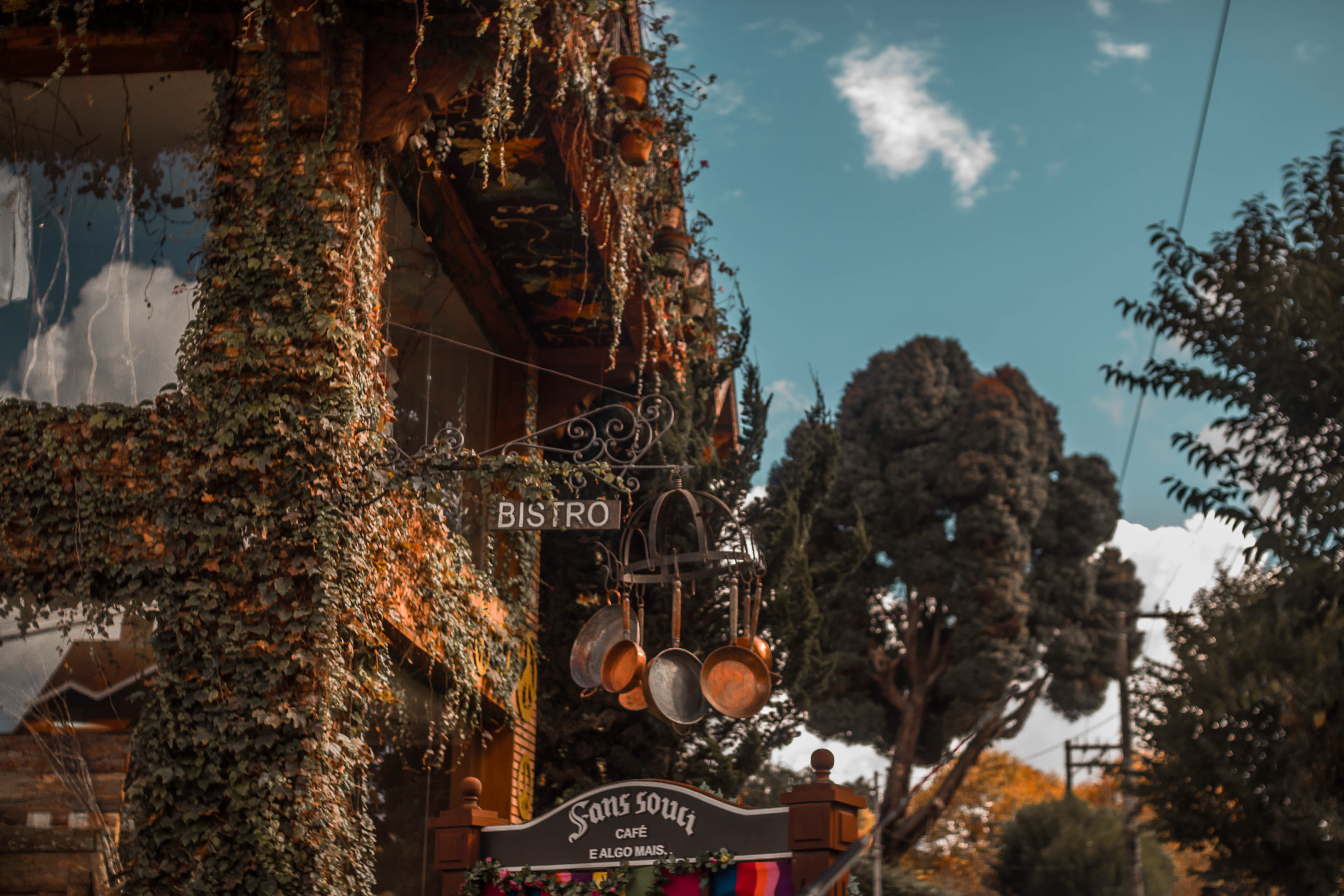 wall, plant, low angle view, built structure, 5K, architecture, bistro, outono, campos do jordão, coffee house, illuminated, decoration, mood, lighting equipment, HD Wallpaper