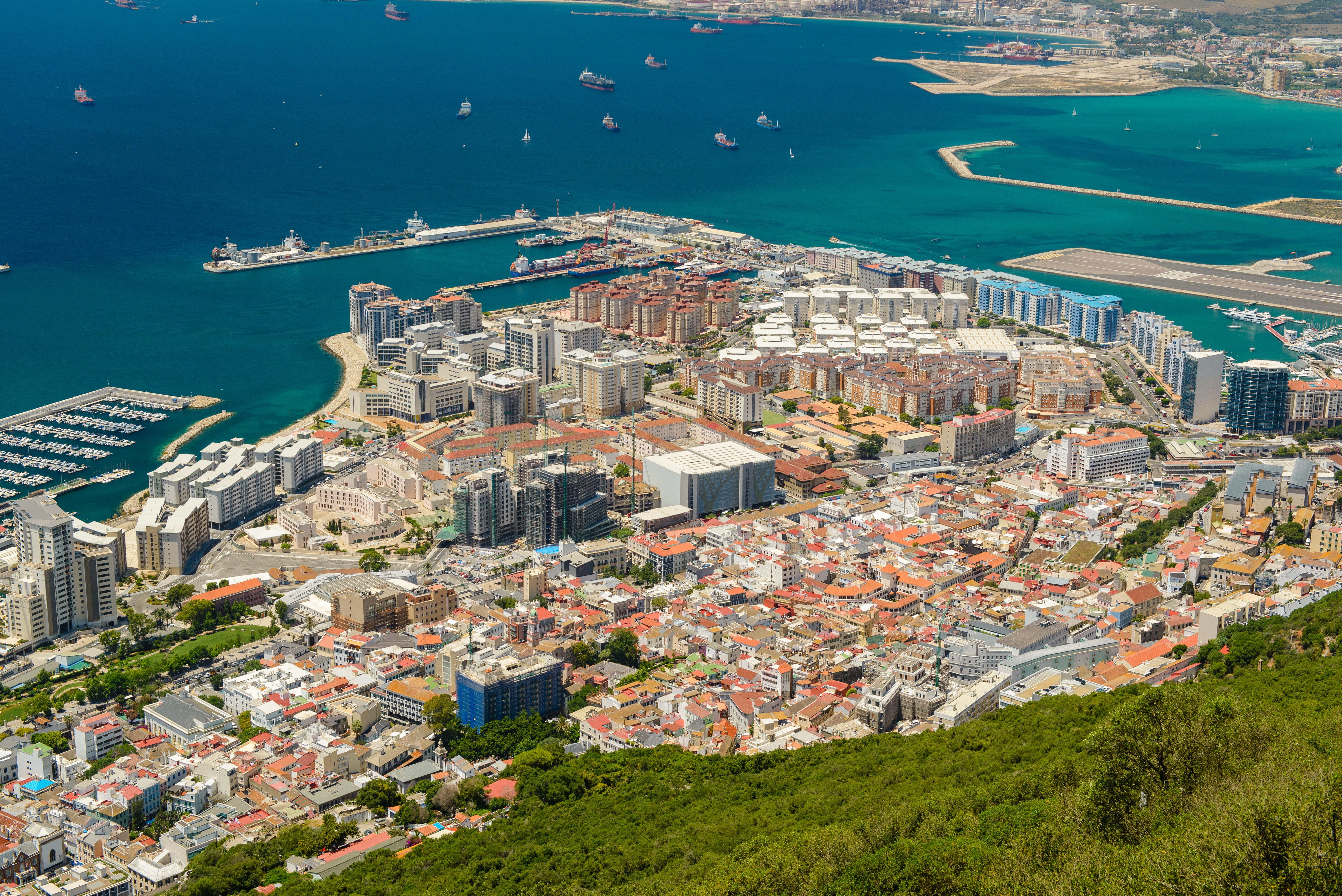 tree, aerial view, day, building, beach, daytime, harbor, nature, city, skyscraper, gibraltar, cityscape, outdoors, sea, plant, water, architecture, crowded, HD Wallpaper