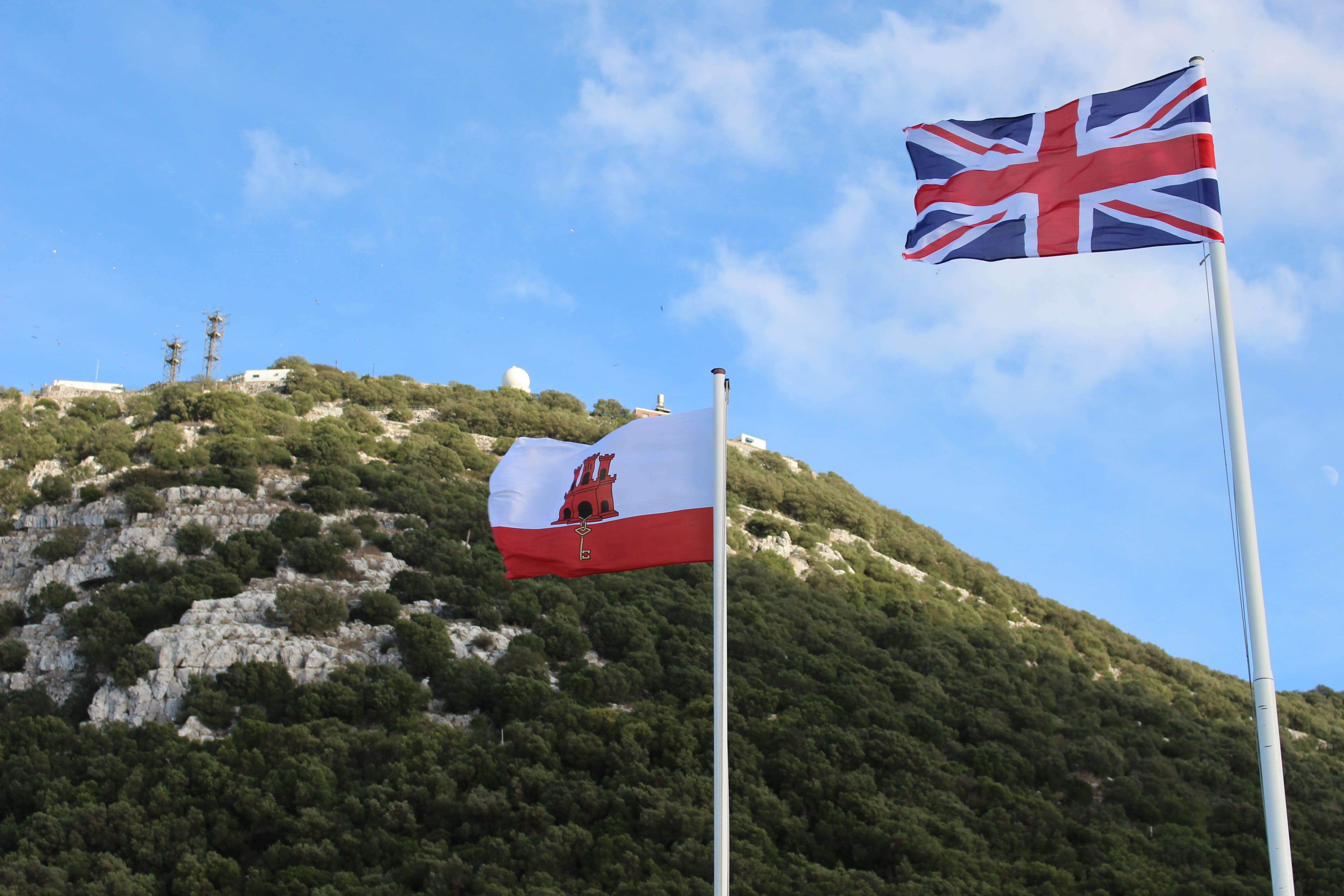 5K, national icon, patriotism, wind, pride, nature, star shape, freedom, tree, flag, flags, plant, gibraltar, blue, environment, low angle view, red, waving, HD Wallpaper