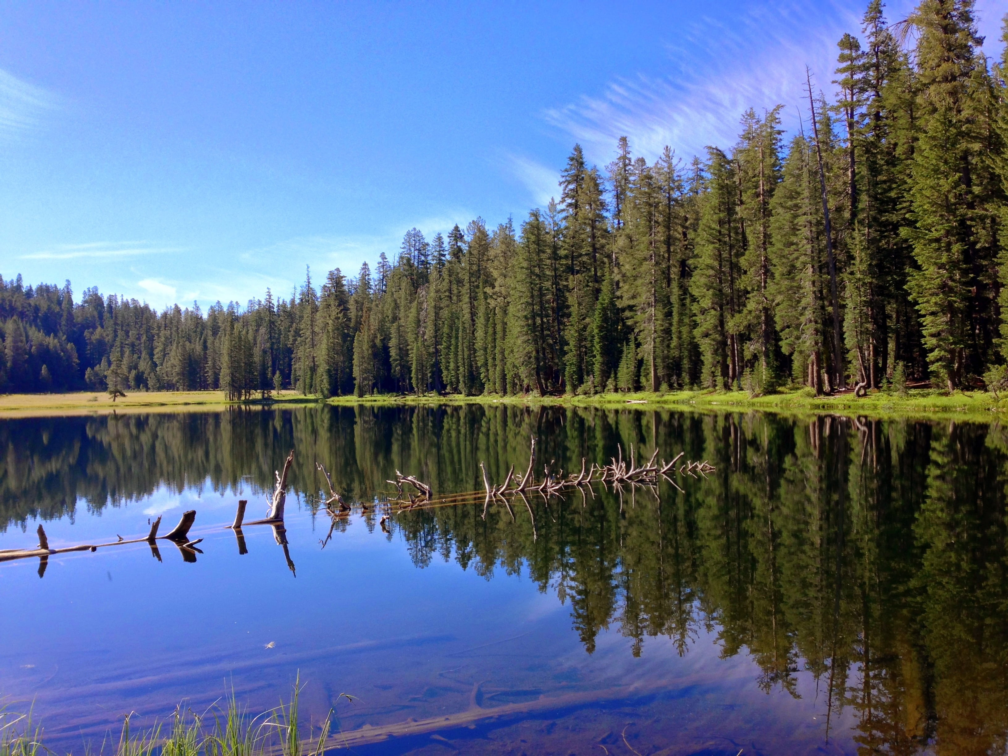 reflection, california, tranquil scene, coniferous tree, tranquility, water, non-urban scene, reflection lake, no people, national park, wilderness, scenery, HD Wallpaper