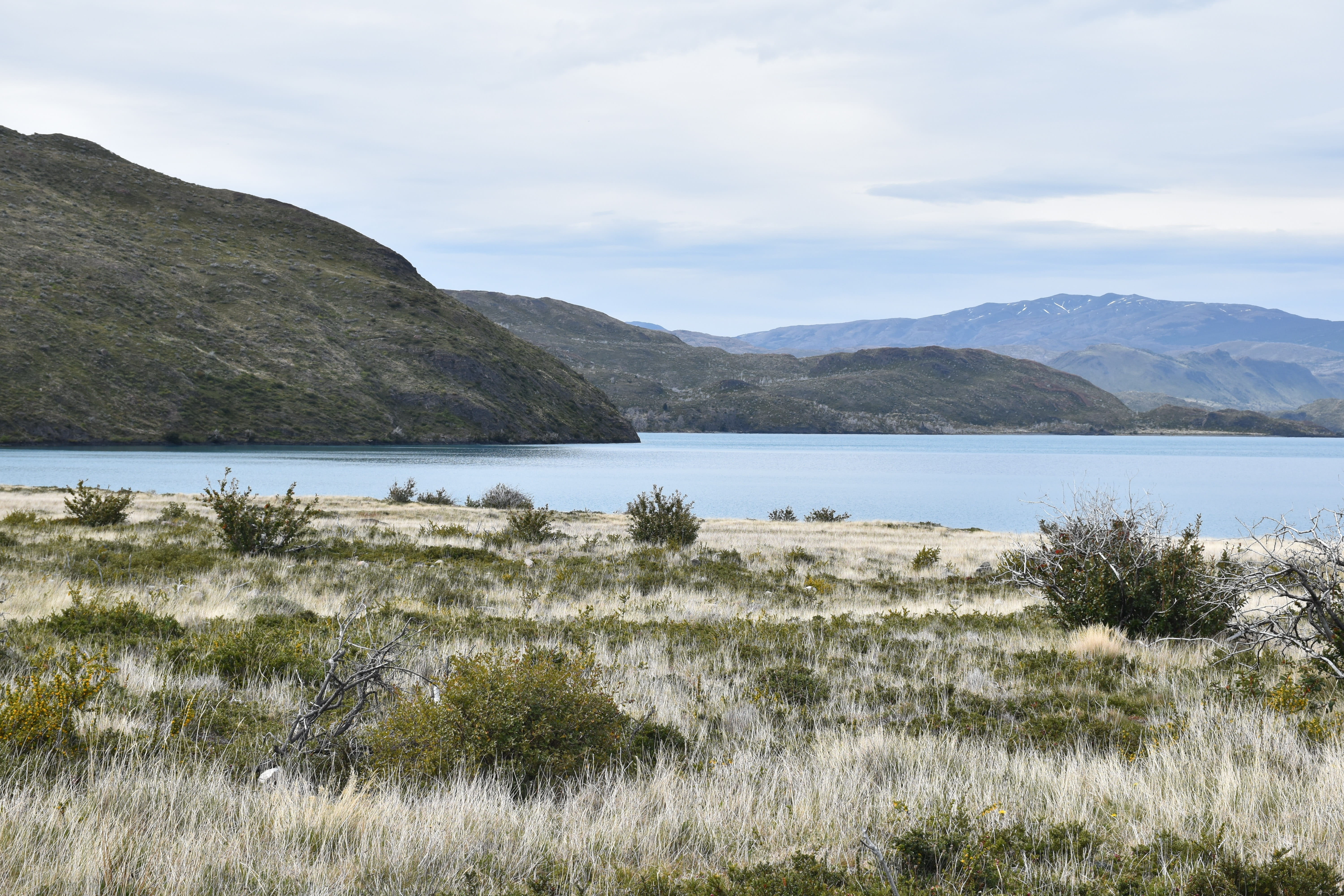 no people, grass, mountain panorama, lake, chile, nature, water, beach, growth, south america, outdoors, mountain, land, non-urban scene, lago grey, landscape, HD Wallpaper