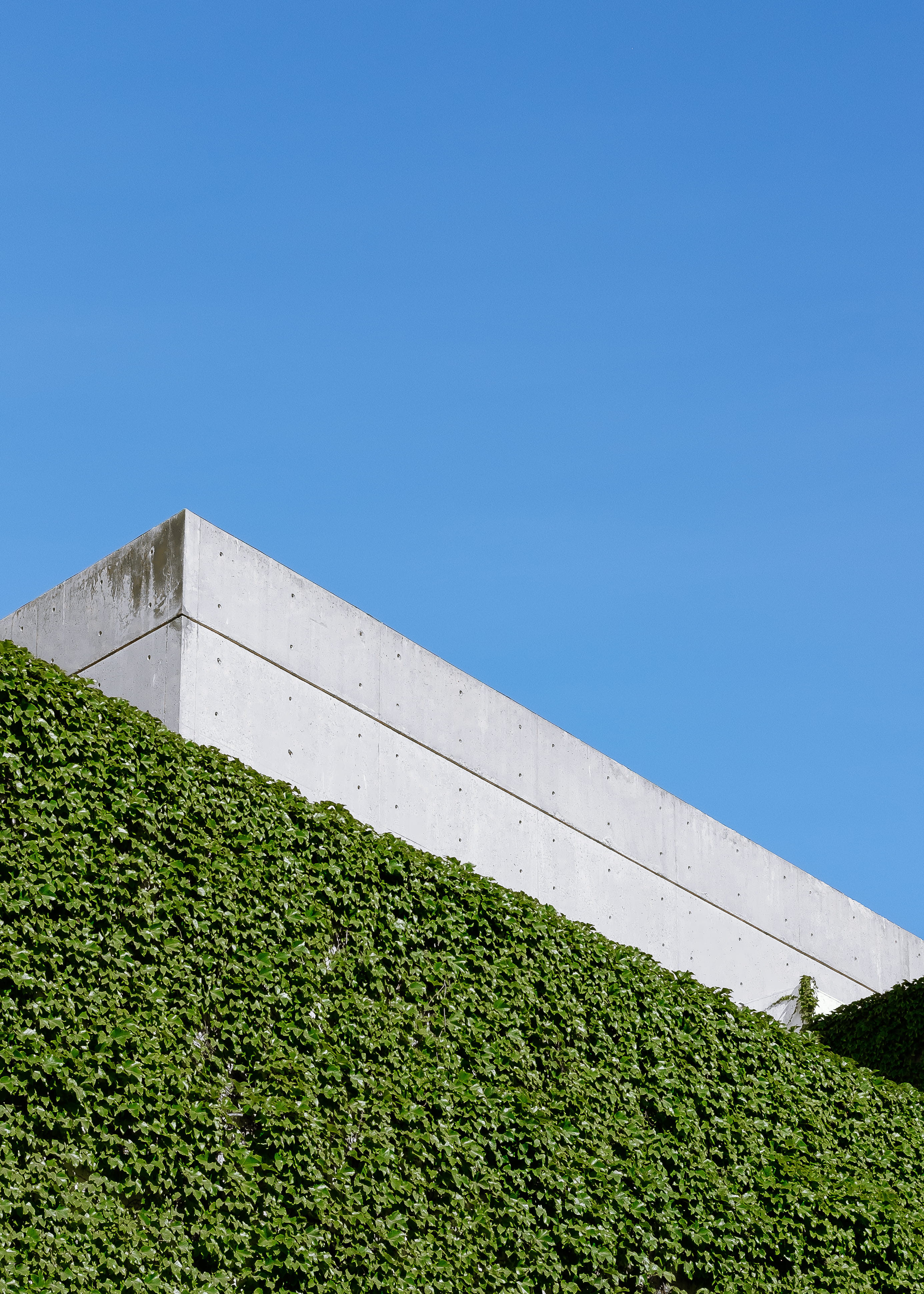 copy space, land, leaves, outdoors, day, agriculture, hedge, low angle view, abstract, nature and city, blue, green color, sky, built structure, green, Phone HD Wallpaper