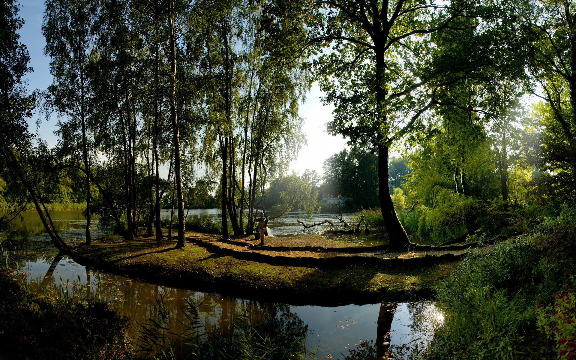 trunk, light, sunlight, es, reflection, beauty In Nature, lake, growth, plant, tranquil Scene, land, water, park - Man Made Space, scenics - nature, statue, HD Wallpaper