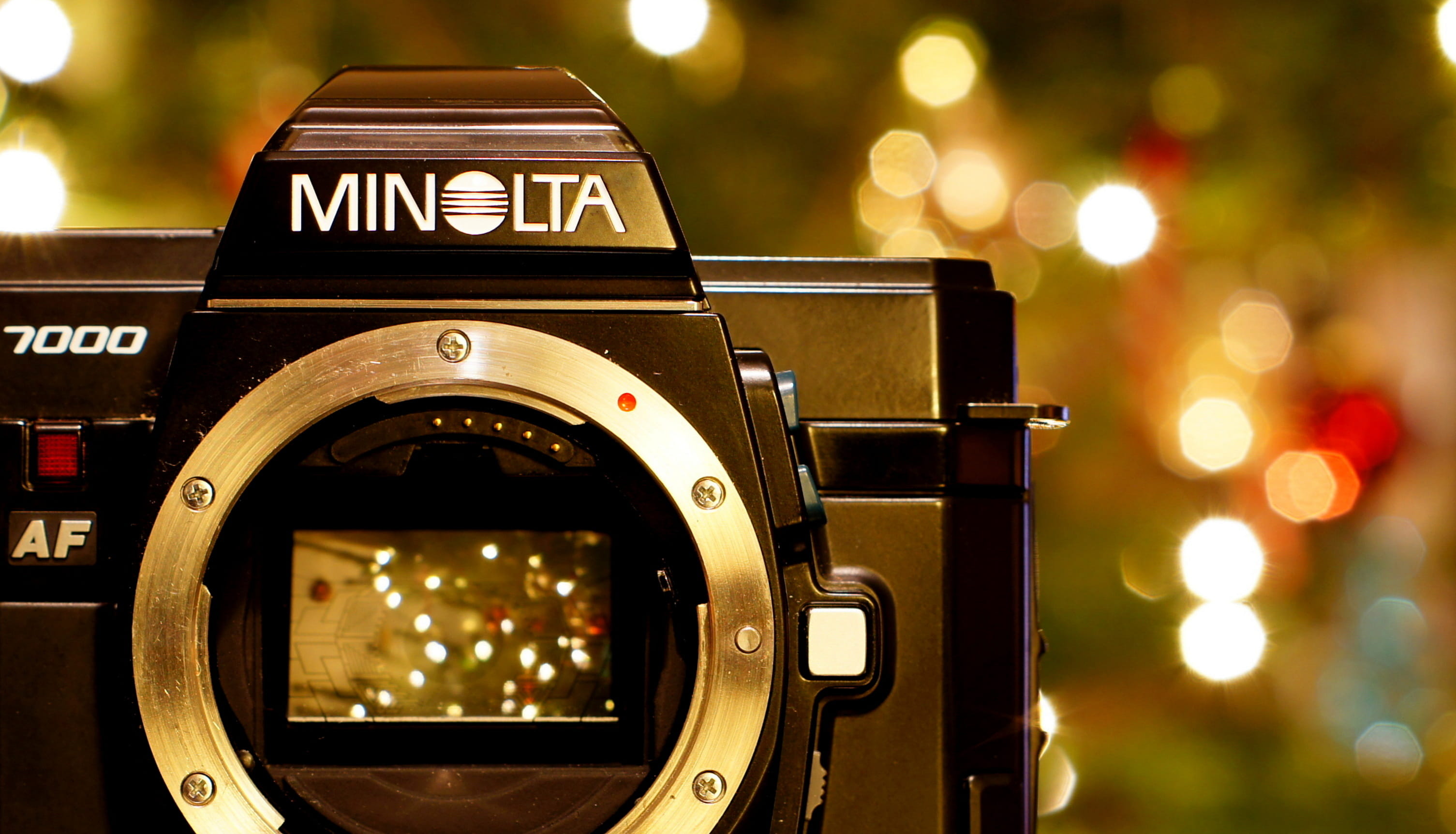 2K, camerabody, bokeh, close-up, illuminated, minolta, tree, camera - photographic equipment, city, lighting equipment, digital, light, photography themes, HD Wallpaper