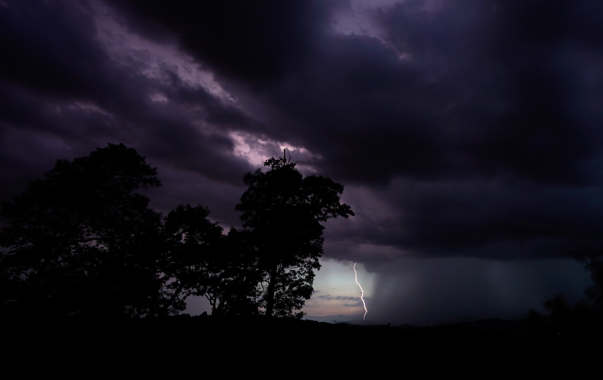 night, landscape, ttttrrrrrreeeeesssssssss, clouds, rain, lightning, 1080P, storm, HD Wallpaper