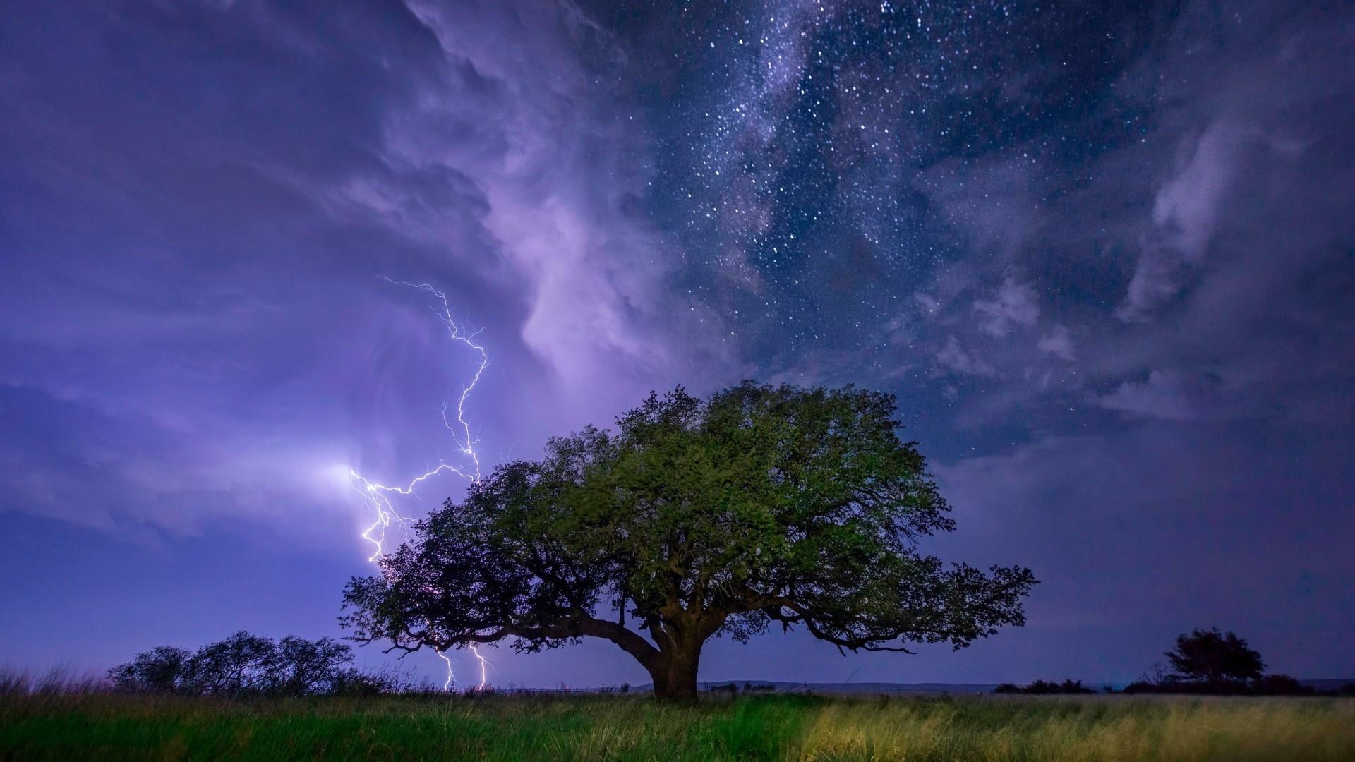 lightning, lightning strike, lone tree, thunderstorm, phenomenon, nature, awesome, lonely tree, storm, thunder, night sky, atmosphere, starry night, night, HD Wallpaper