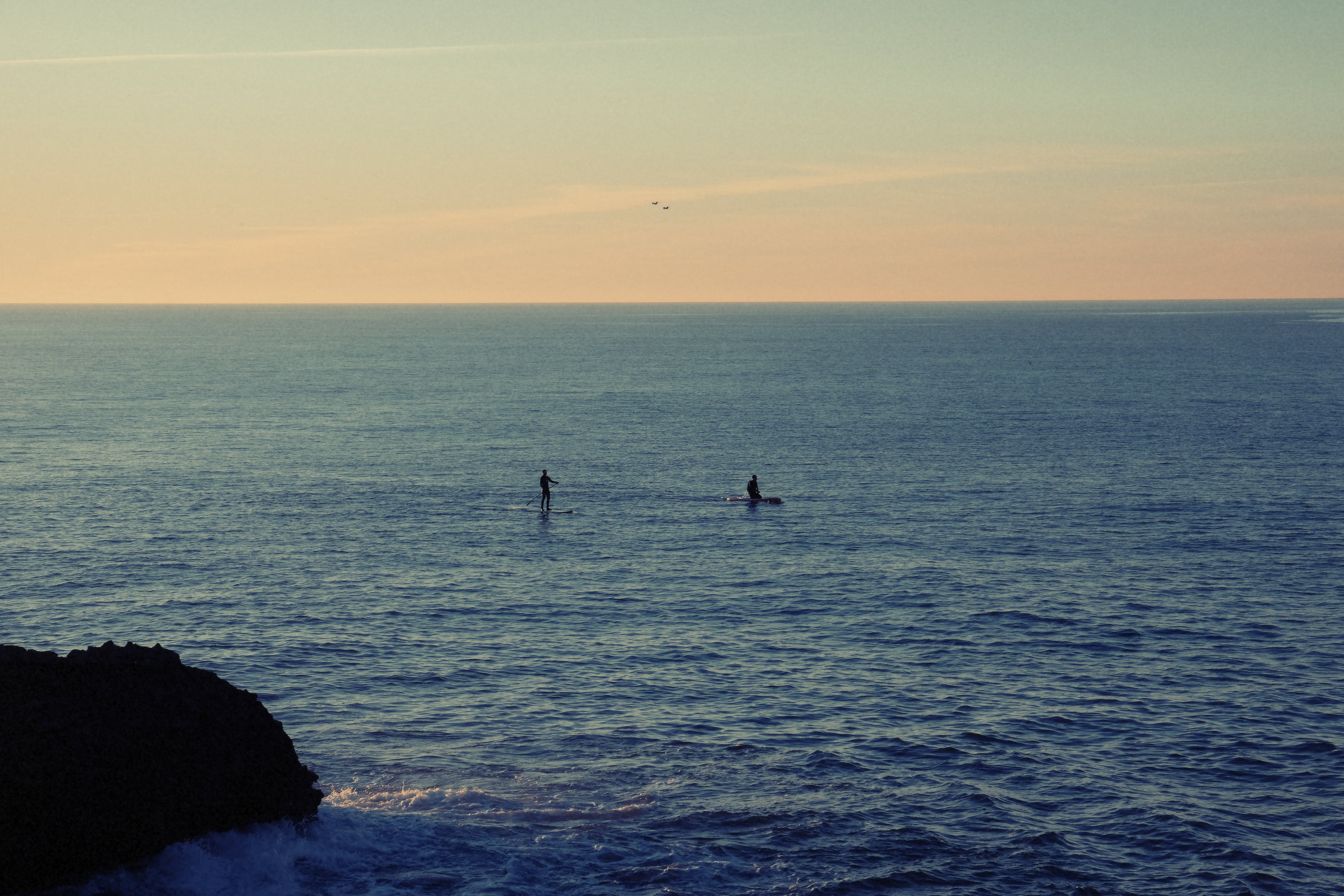 ocean, person, real people, silhouette, sunset, horizon, outdoors, animals in the wild, non-urban scene, waterfront, nature, sky, tranquil scene, paddle boarding, HD Wallpaper