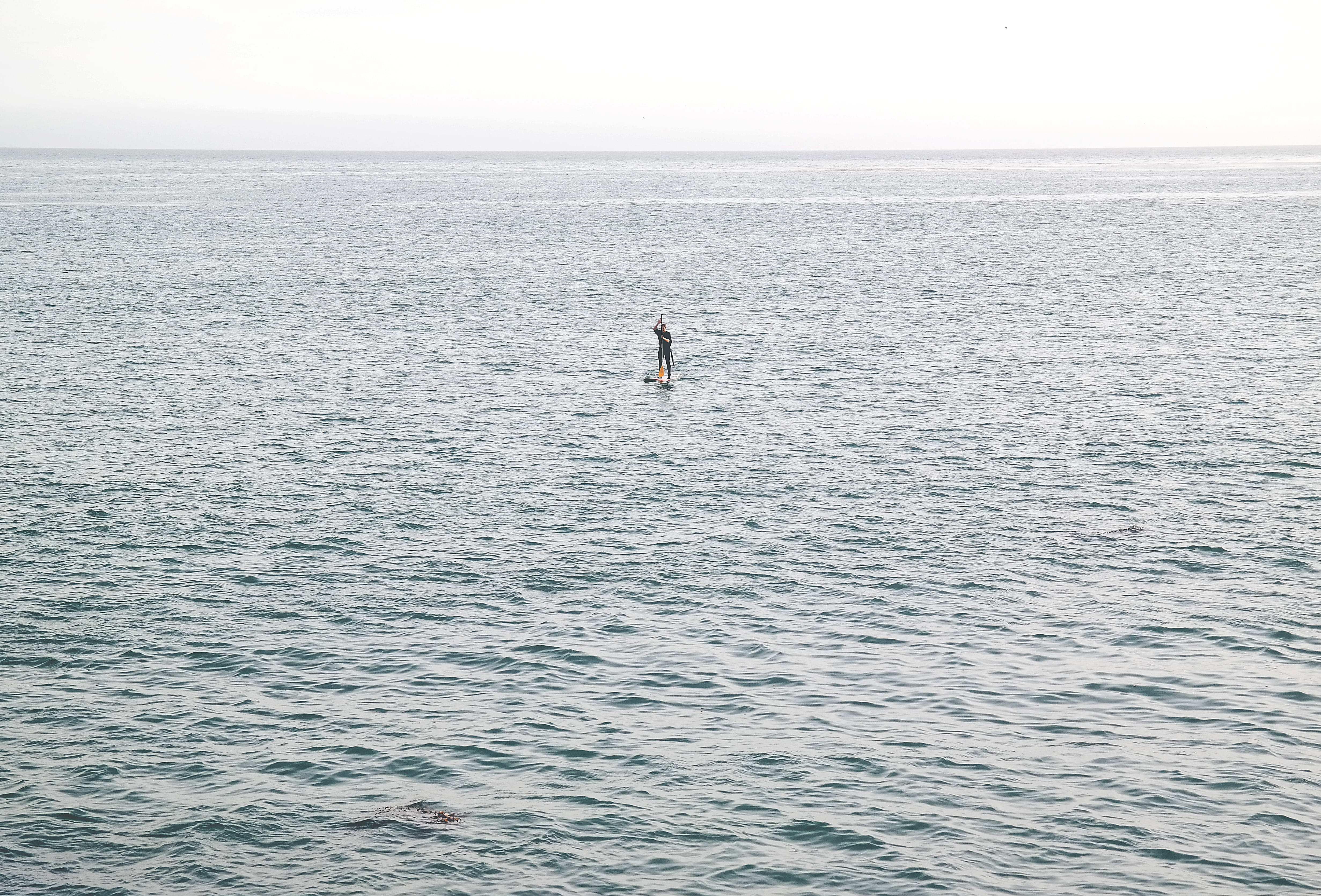 sky, scenics - nature, tranquility, person, waterfront, vacations, body, body of water, surf, animals in the wild, horizon, tranquil scene, vertebrate, HD Wallpaper