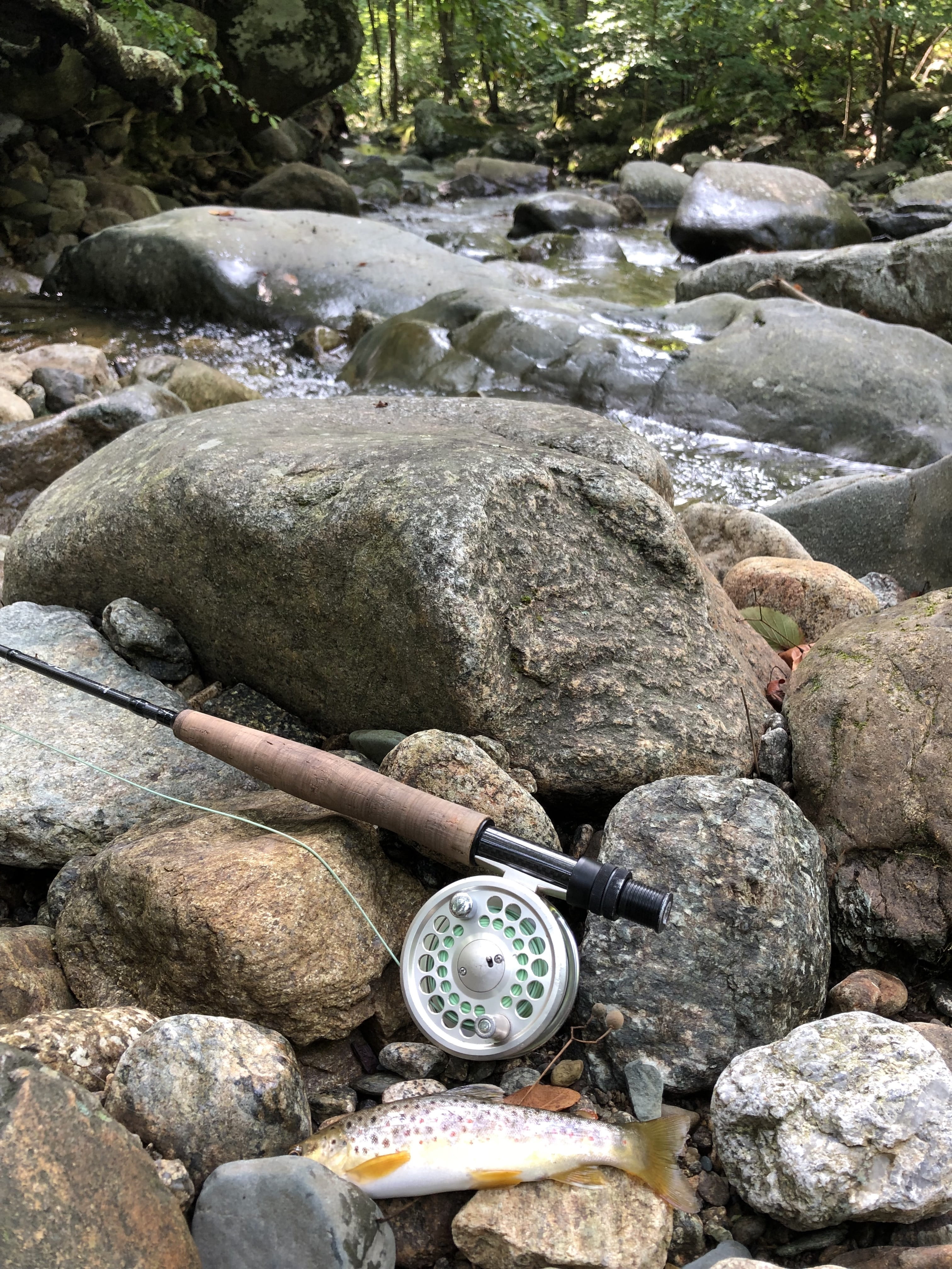 stone - object, land, rock - object, rock formation, solid, gauge, day, pebble, flowing water, virgina, outdoors, trout, fishing, circle, stone, reel, instrument of time, Phone HD Wallpaper