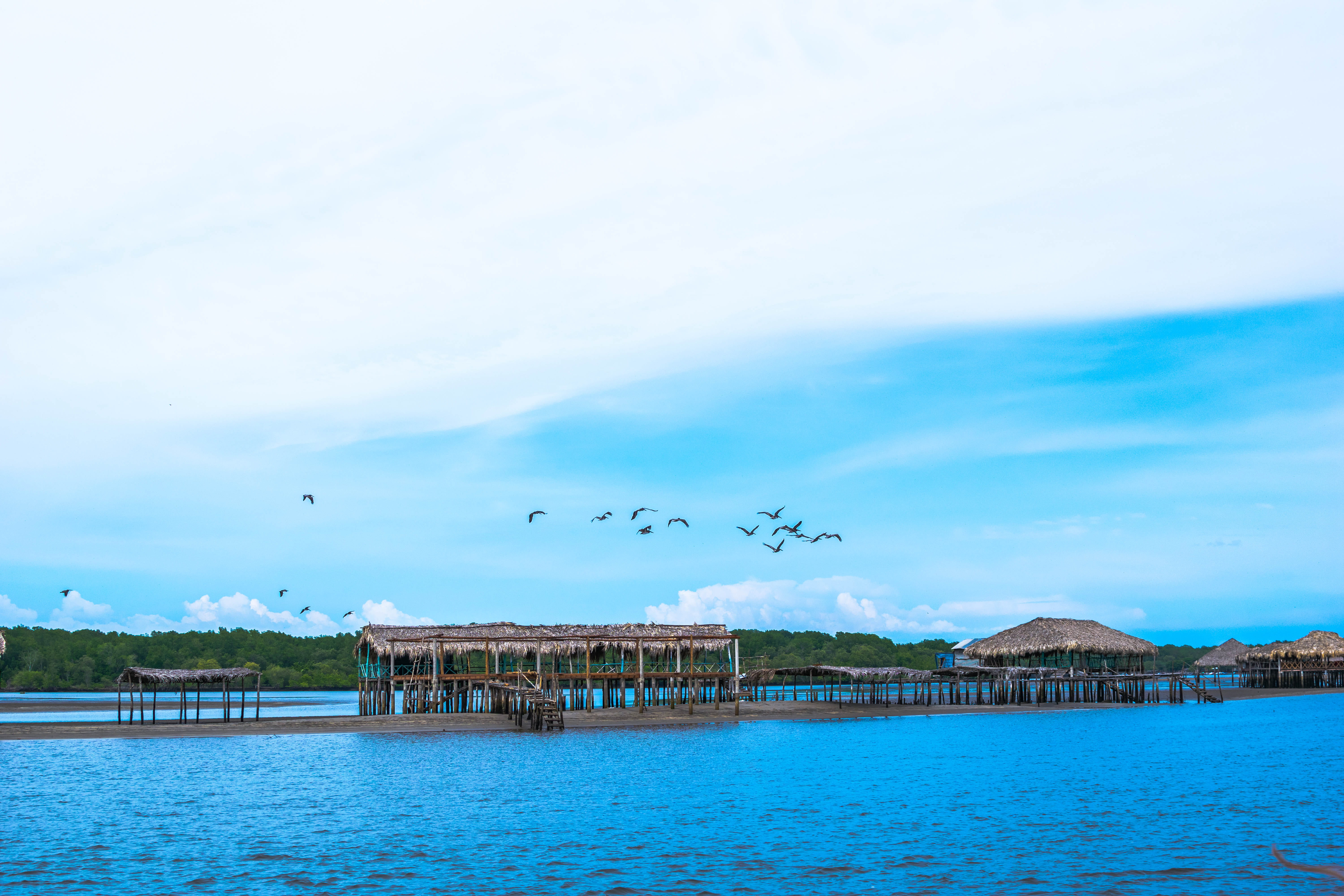 architecture, beach, animals in the wild, bird, turquoise colored, mar, building exterior, nature, lake, playa, water, hotel bahia del sol, group of animals, HD Wallpaper