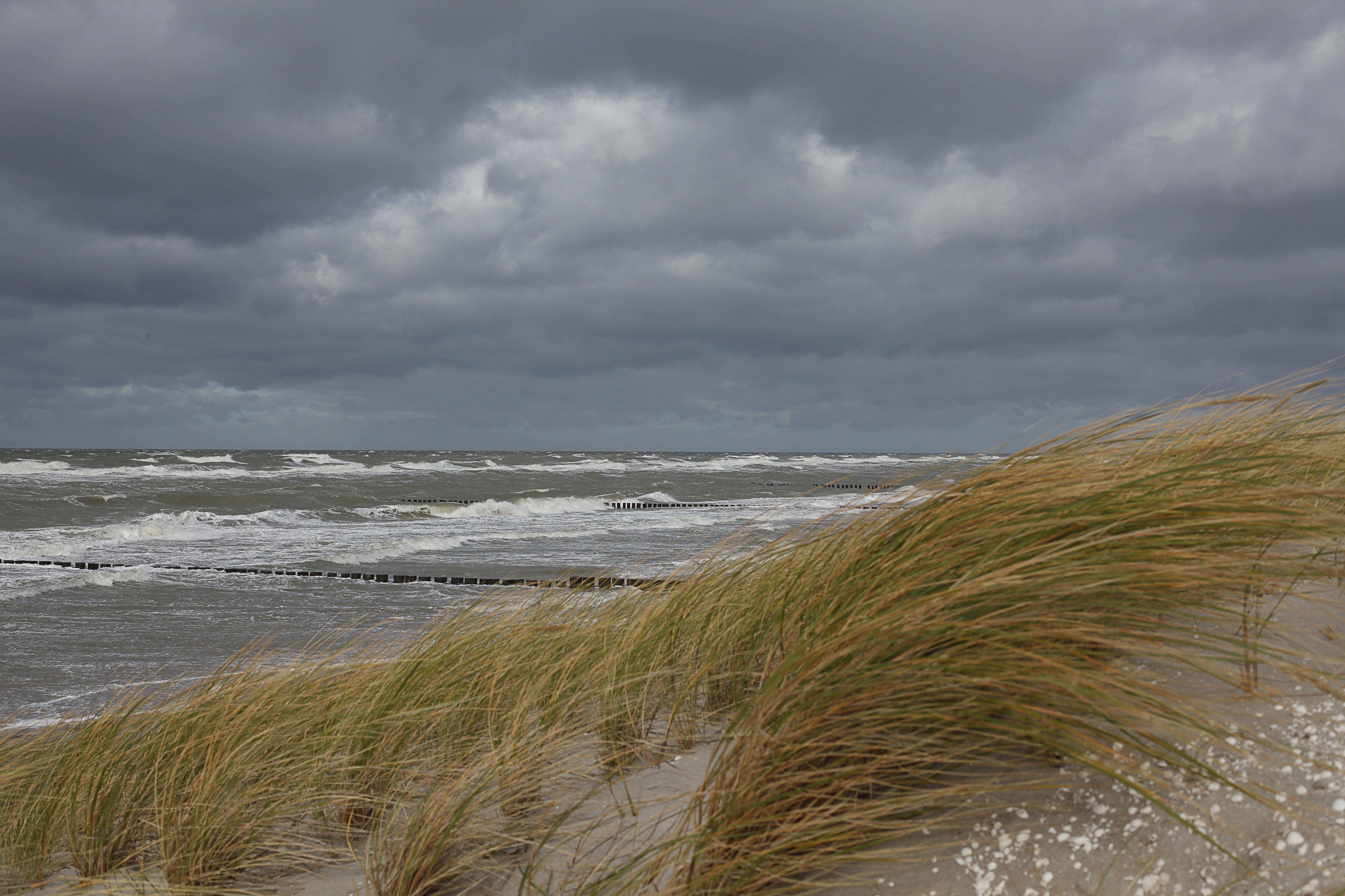 wild, darß, horizon over water, water, overcast, tranquility, sky, grass, cloud - sky, dunes, landscape, wave, 5K, west beach, sea, scenics - nature, forward, HD Wallpaper