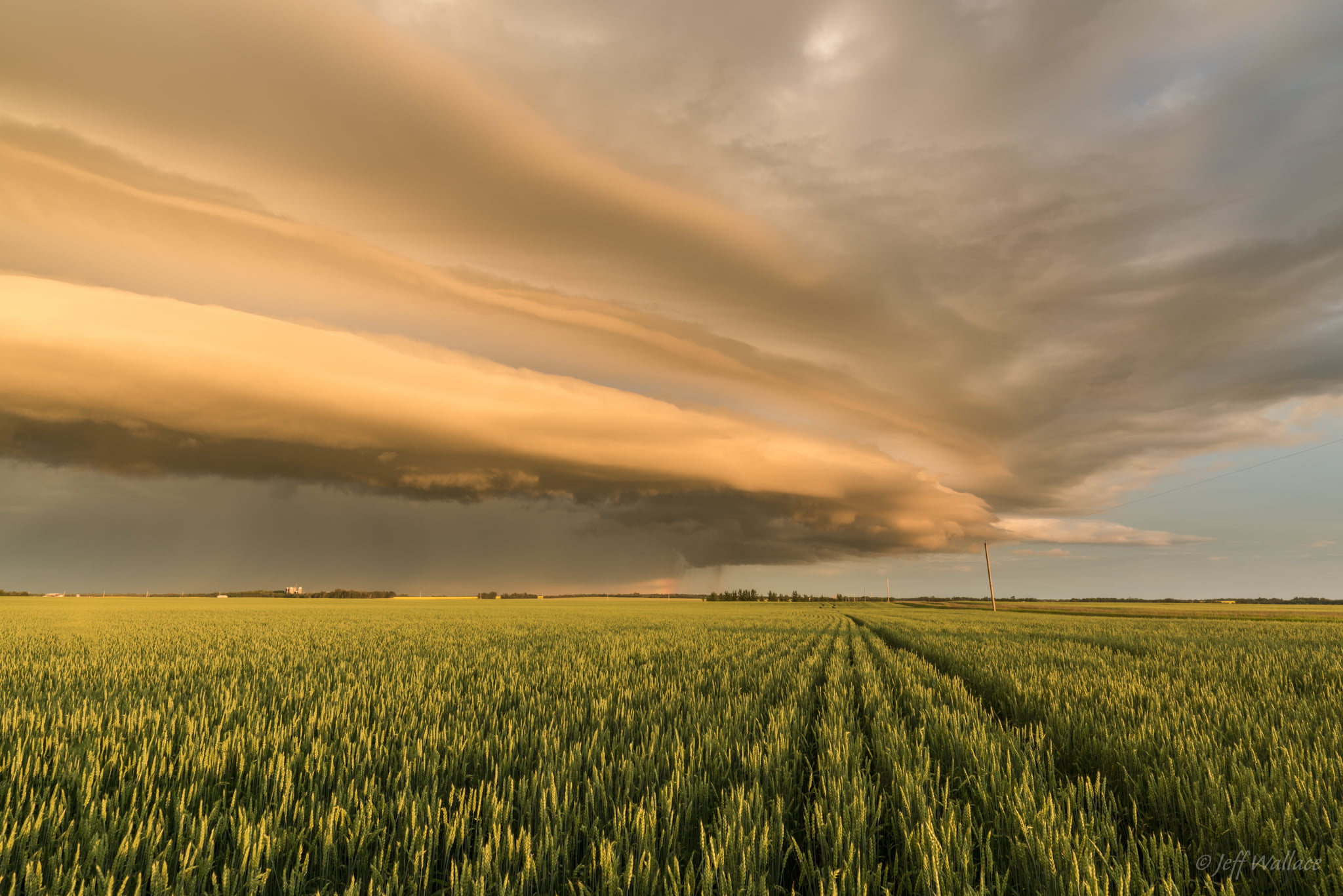 crop, green, fields, sky, summer, nature, field, agriculture, Shelf Cloud, Canada, Sunset, green fields, farm, outdoors, yellow, 1080P, warm, Sturgeon County, HD Wallpaper