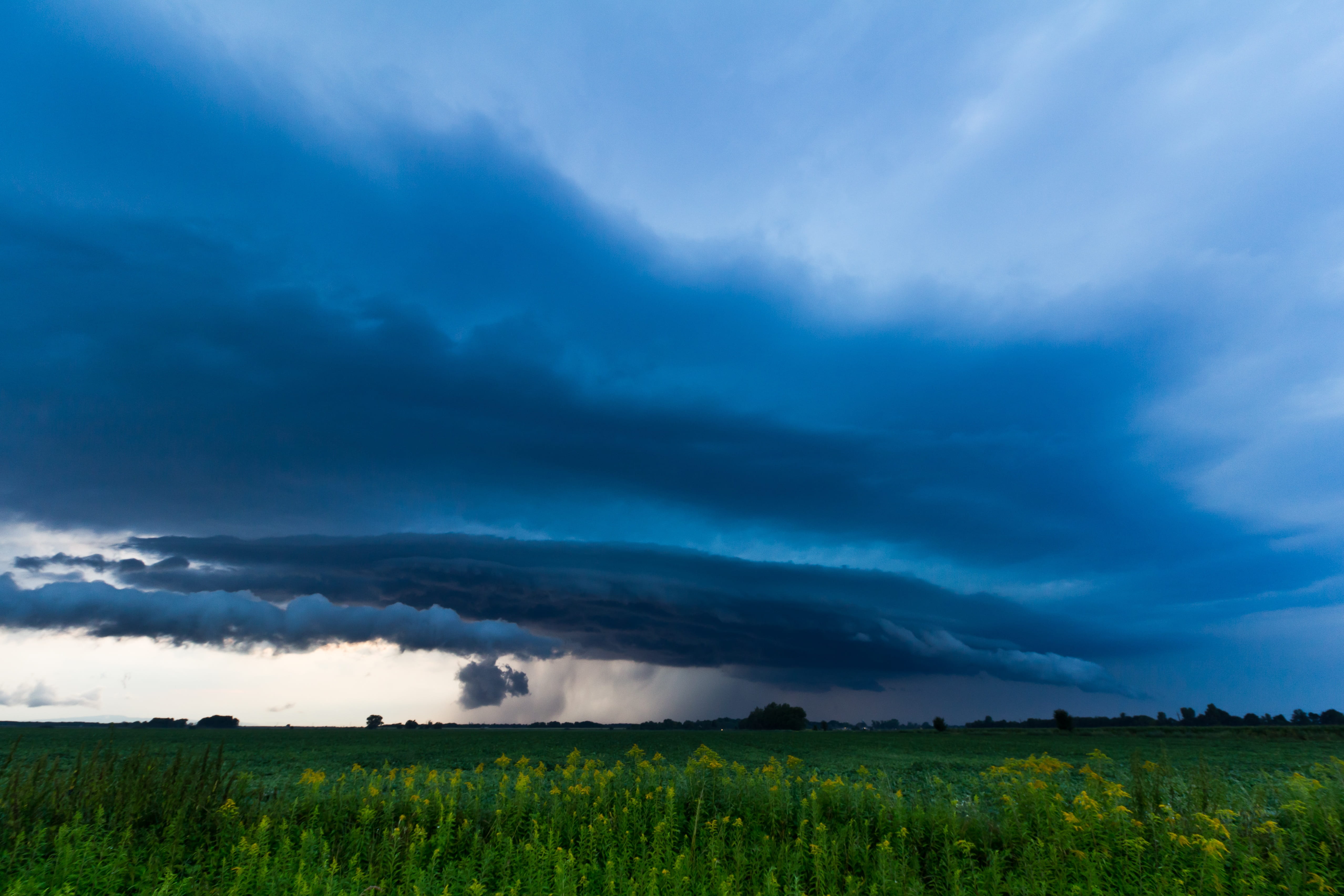 storm hunting, 4K, plant, cloud - sky, beauty in nature, growth, sky, shelf cloud, evening thunderstorms, agriculture, idyllic, atmosphere, tranquility, HD Wallpaper