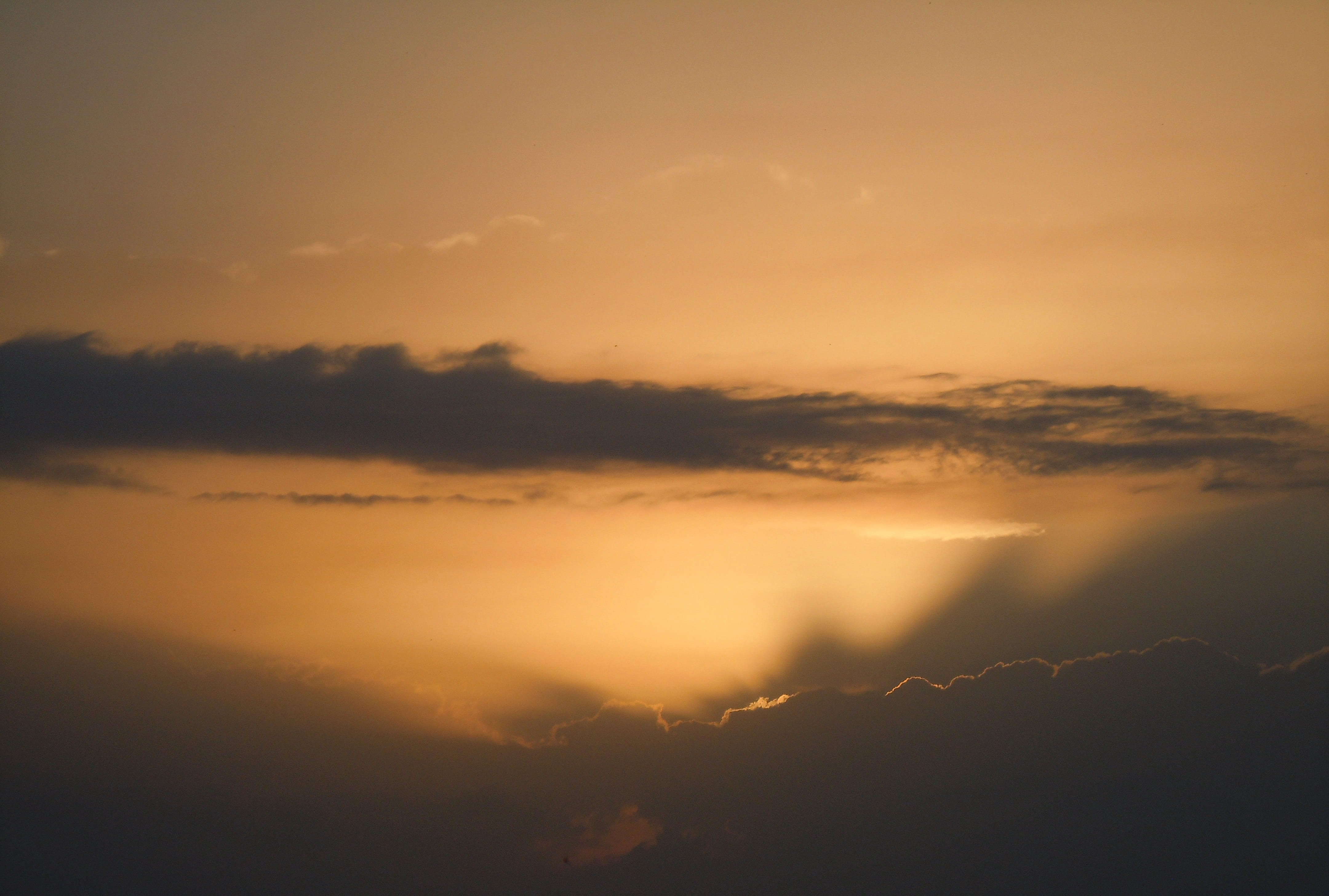 sunlight, evening sky, 4K, cloudscape, majestic, dramatic sky, sun, scenics - nature, no people, idyllic, environment, cloud - sky, nature, beauty in nature, HD Wallpaper