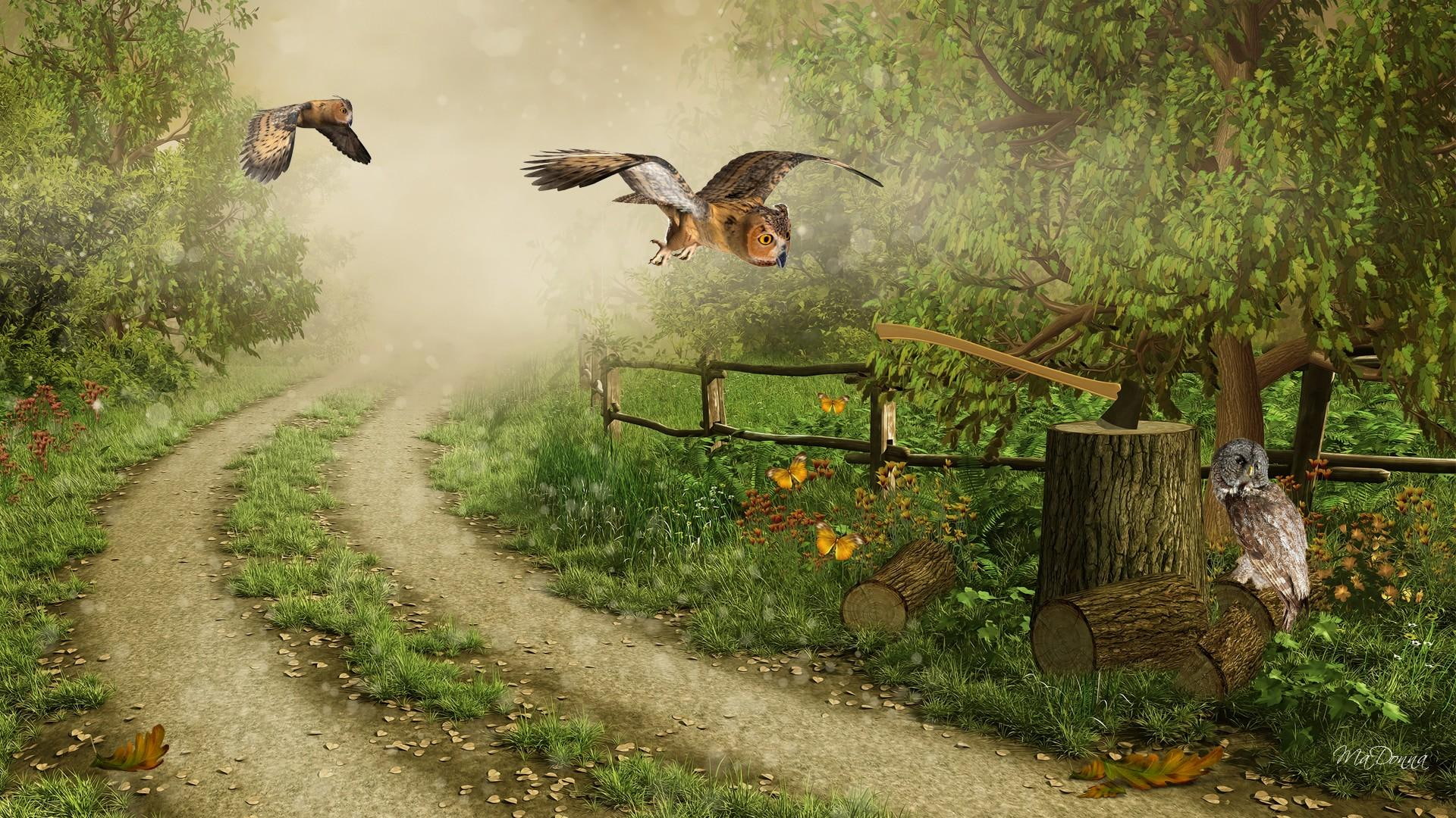 forest, foggy, fall, path, mist, trees, ranch, 1080P, leaves, owls, chop wood, season, early, fence, HD Wallpaper