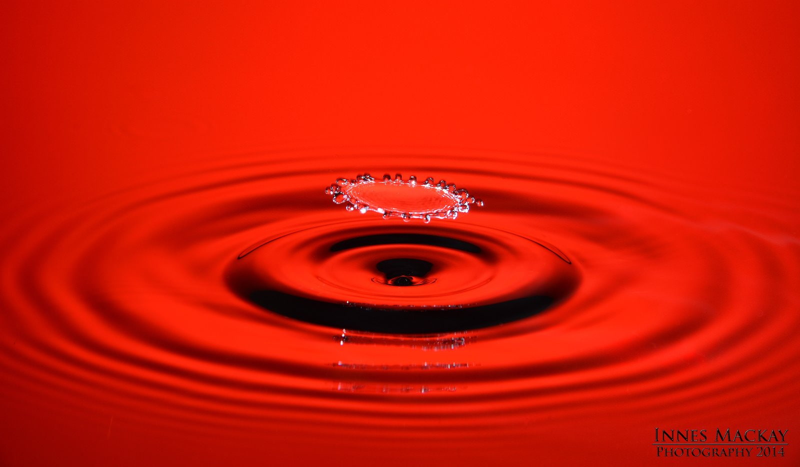 drop, pluie, macro, water, 720P, gouttes, zoom, nature, HD Wallpaper