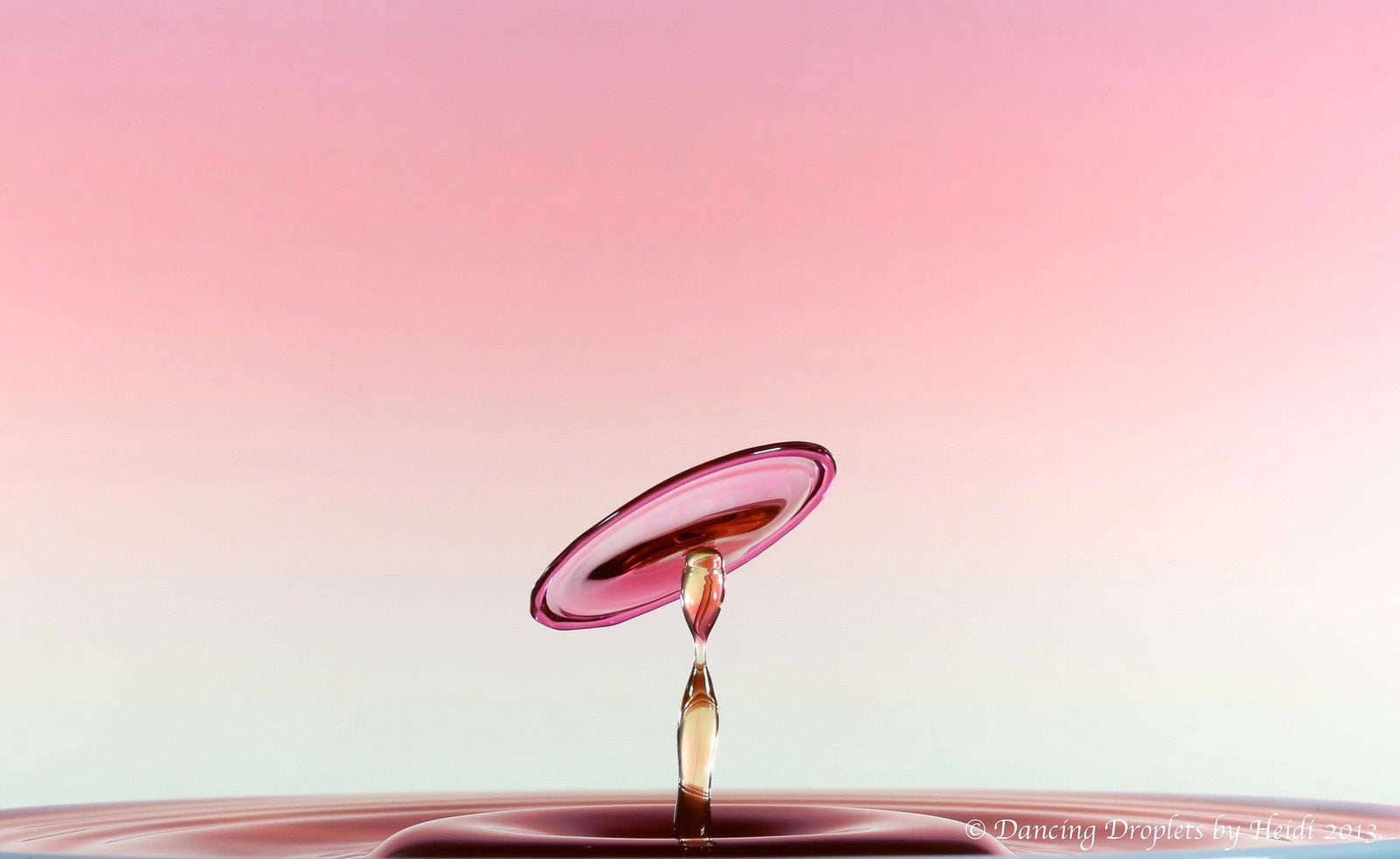 zoom, macro, water, 720P, pluie, nature, drop, gouttes, HD Wallpaper