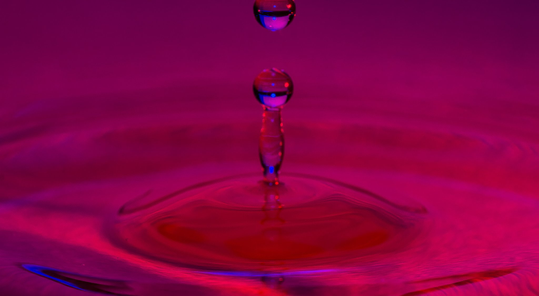 drop, pluie, flowers, nature, water, gouttes, 1080P, macro, zoom, HD Wallpaper