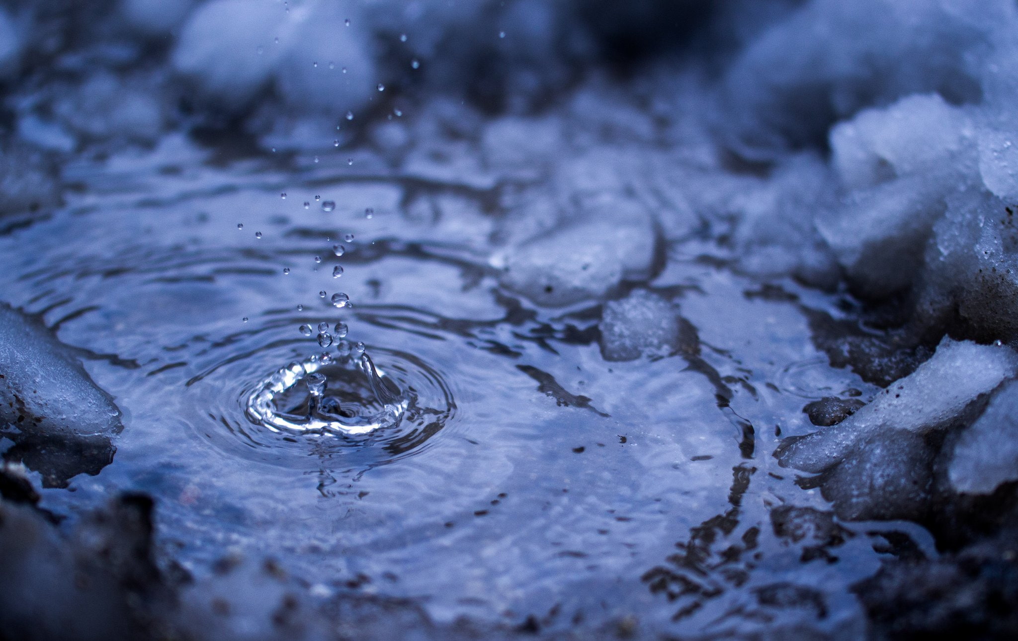 drop, gouttes, 1080P, macro, water, flowers, toile, pluie, zoom, nature, HD Wallpaper