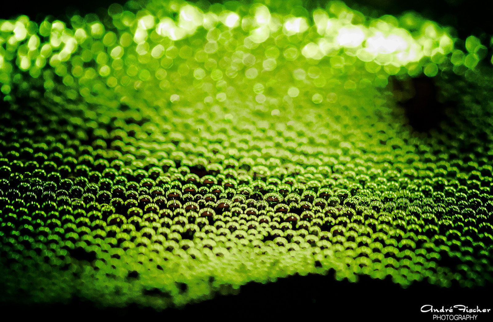 flowers, gouttes, nature, water, macro, 720P, zoom, pluie, toile, drop, HD Wallpaper