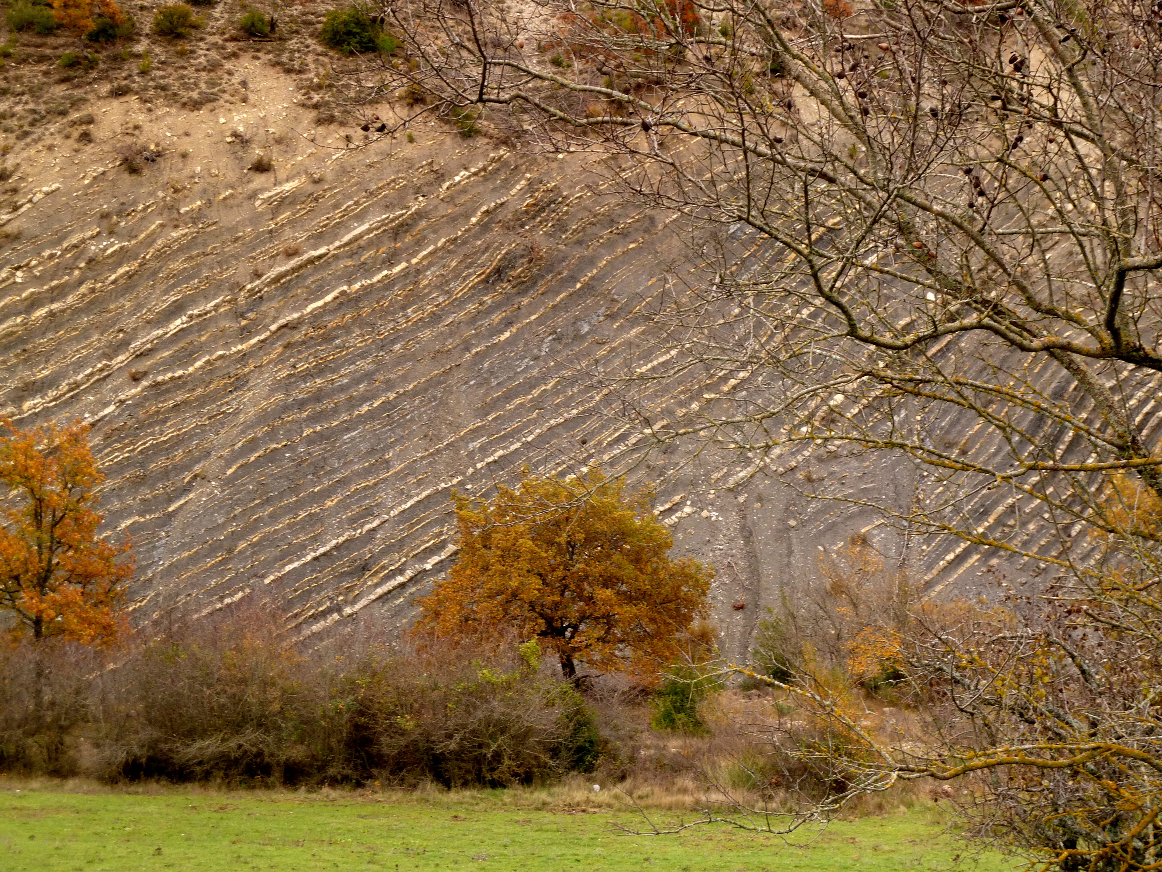semi-arid, outdoors, no people, tree, nature, scenics - nature, geology, field, france, bare tree, nyons, environment, tranquil scene, autumn, beauty in nature, HD Wallpaper