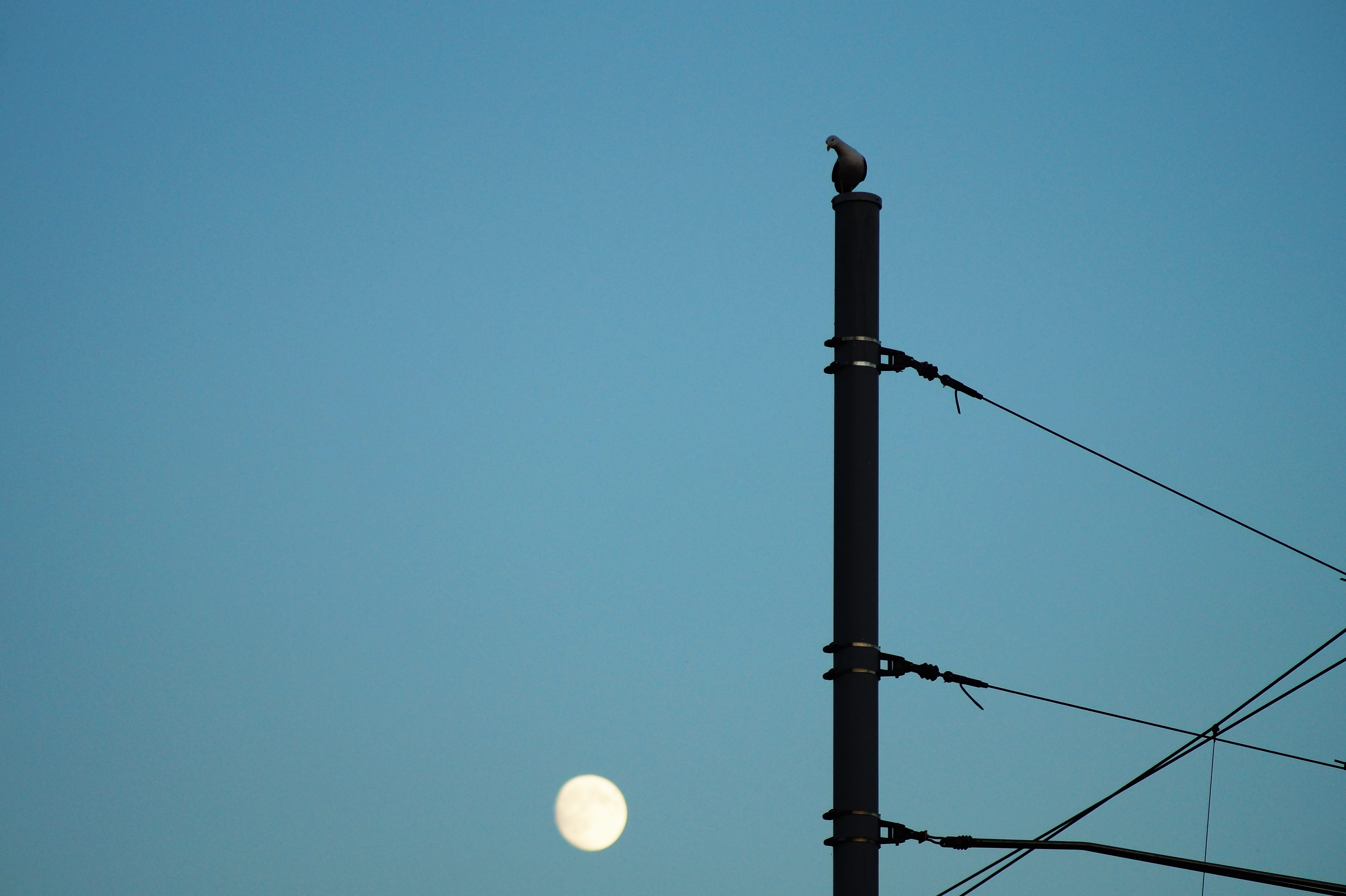 no people, street, electricity, industrial, lighting equipment, energy, tallest, telephone line, electric posts, line, steel, copy space, tower, industry, HD Wallpaper