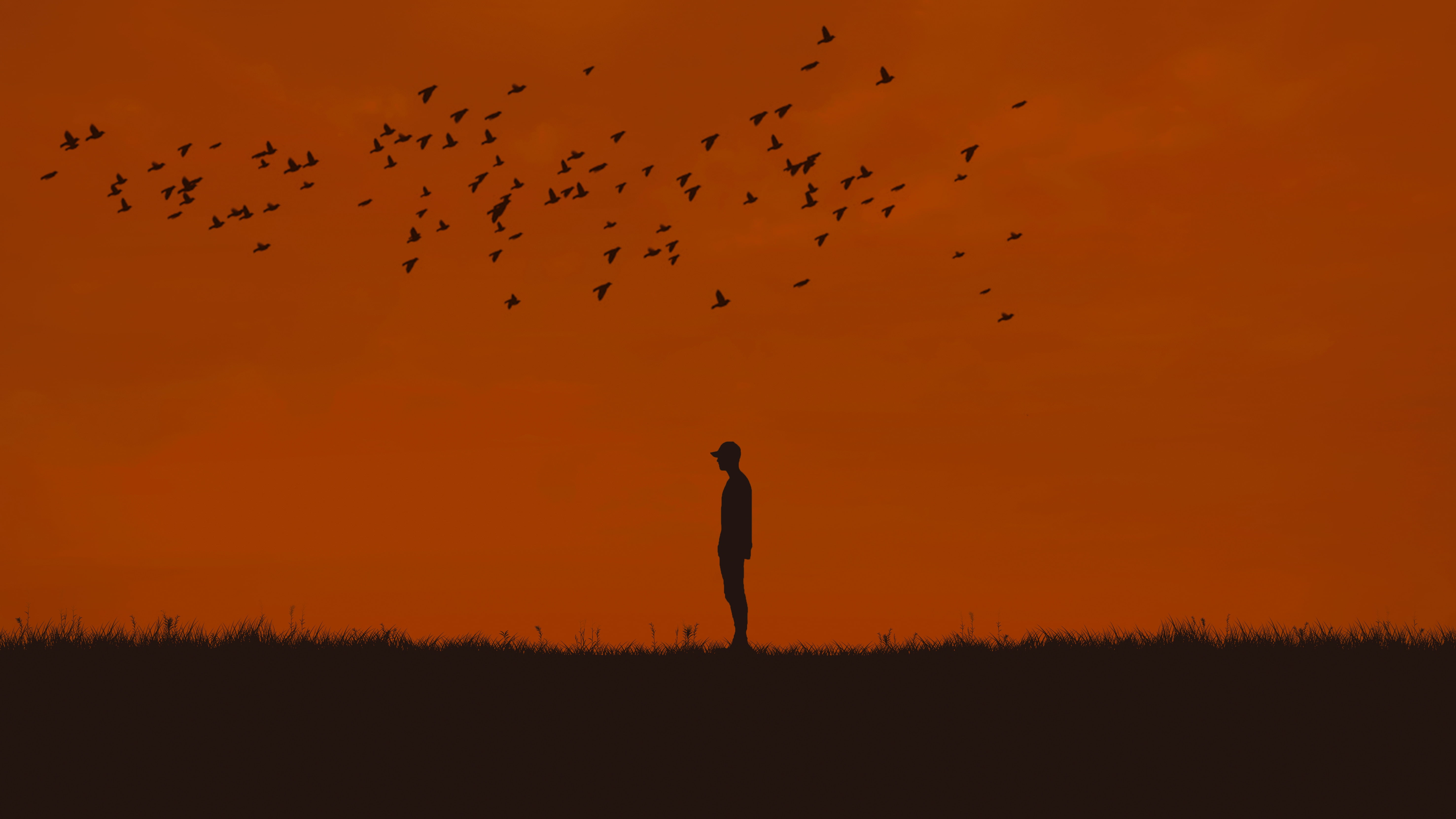person, backgrounds, 5K, flock Of Birds, animal wildlife, orange color, nature, animals In The Wild, freedom, migrating, dusk, vertebrate, silhouette, HD Wallpaper