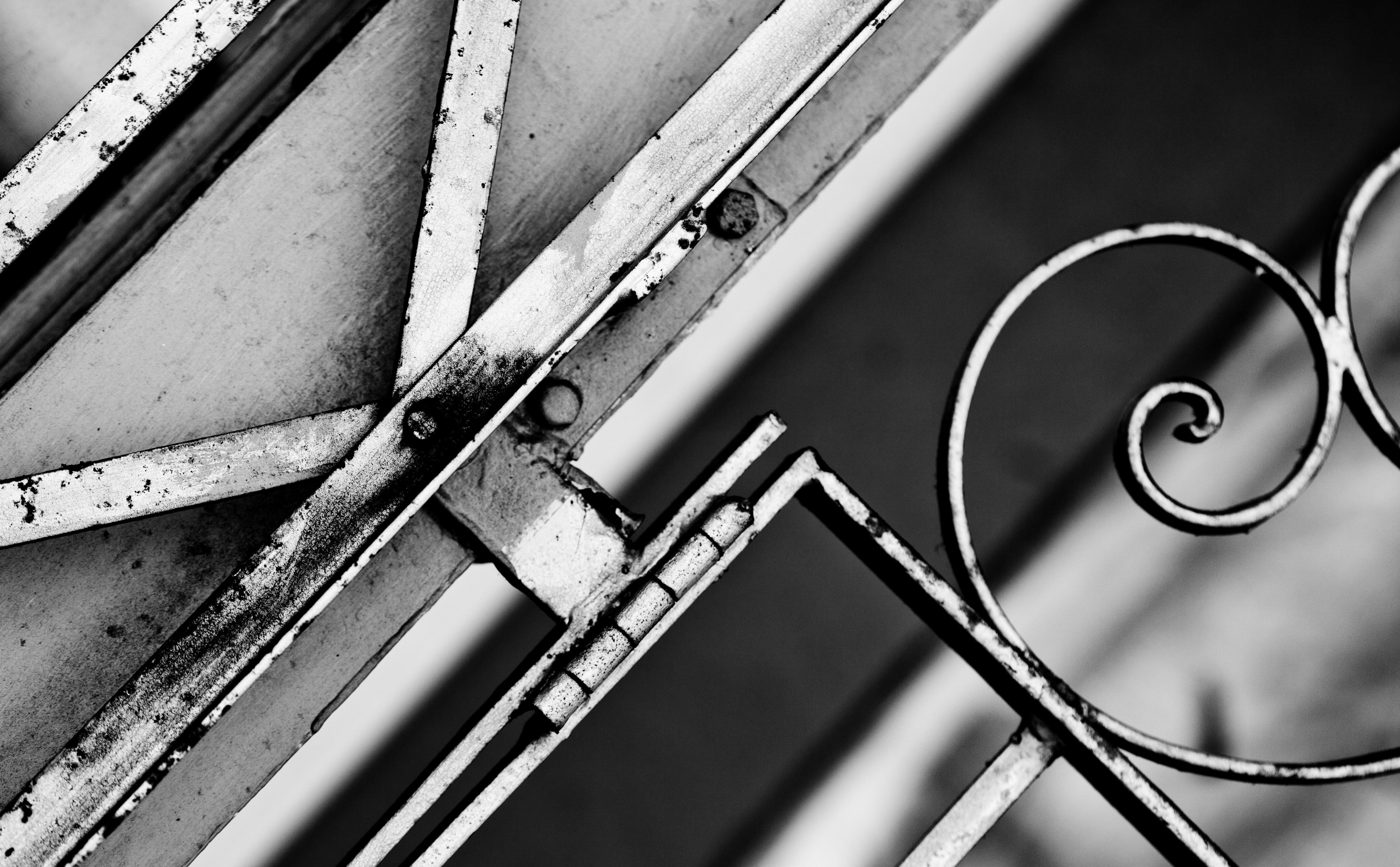architecture, hide, United States of America, pattern, backgrounds, united states, no people, ceiling, communication, Black and White, close-up, san francisco, HD Wallpaper
