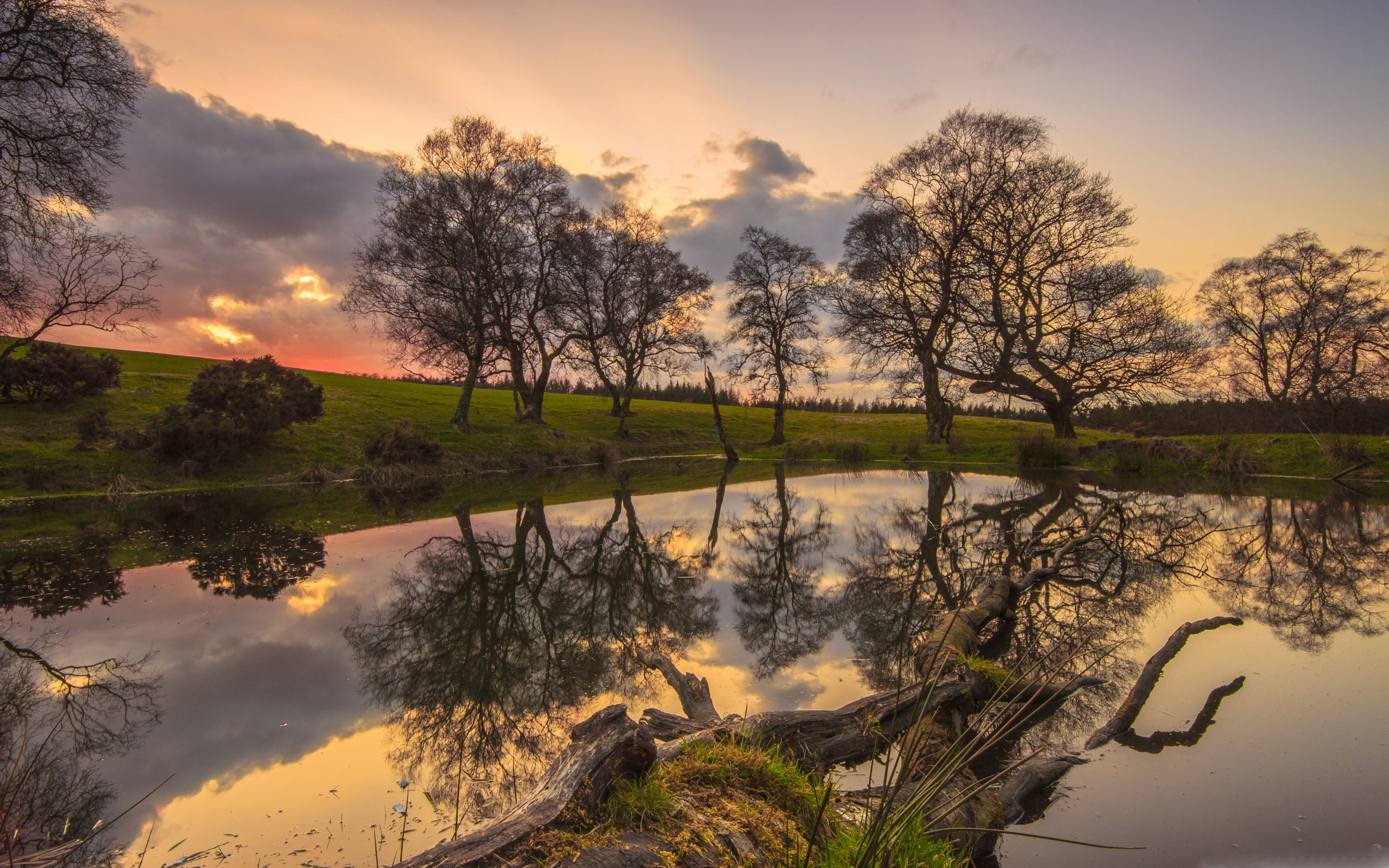 sky, 2K, sunset, lake, non-urban scene, beauty in nature, landscape, cloud - sky, hidden, plant, idyllic, orange color, reflection lake, tree, HD Wallpaper
