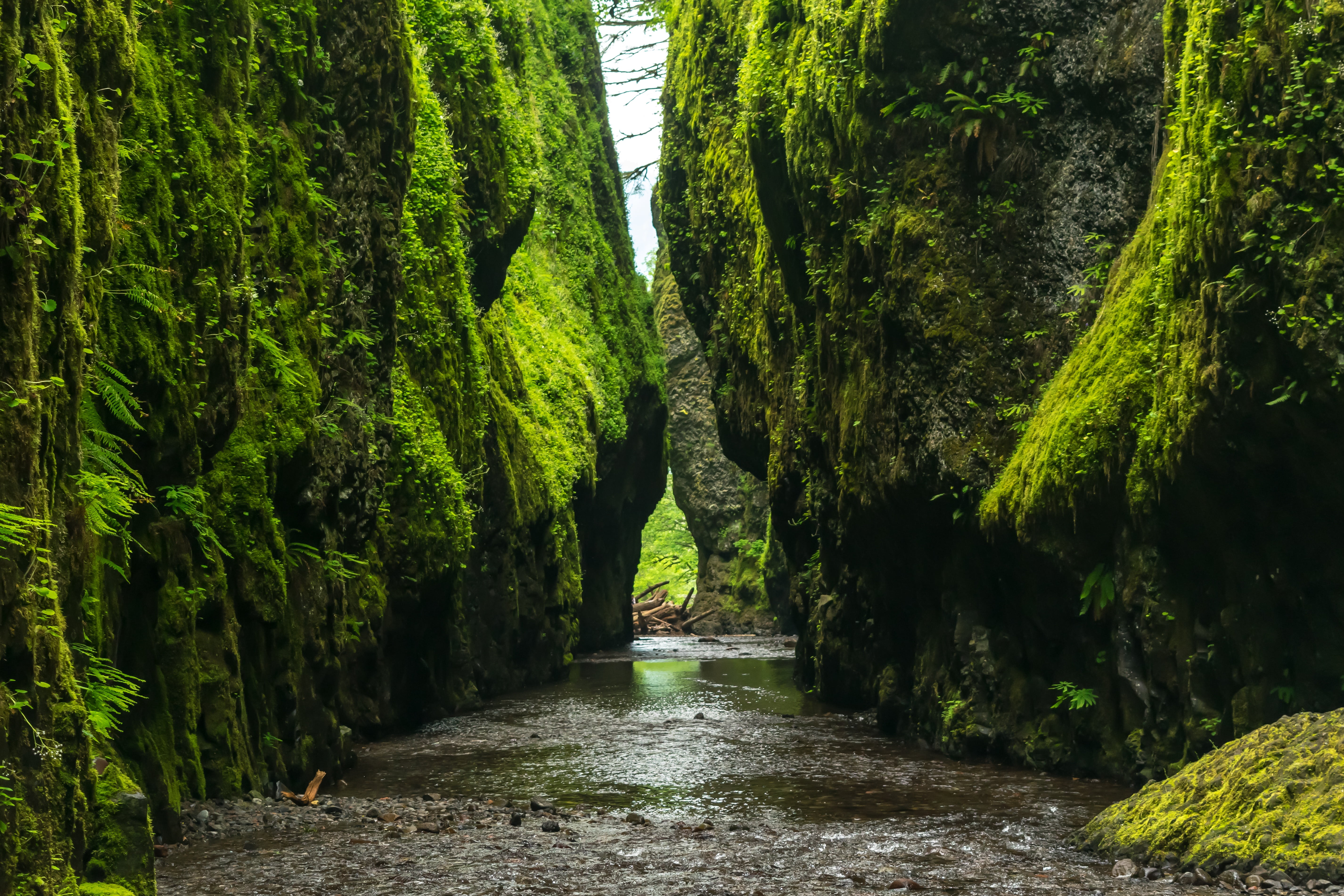 brook, green color, vegetation, scenics, nature, body, passage, creek, stream, no people, the way forward, 5K, photo, growth, built structure, canal, valley, HD Wallpaper