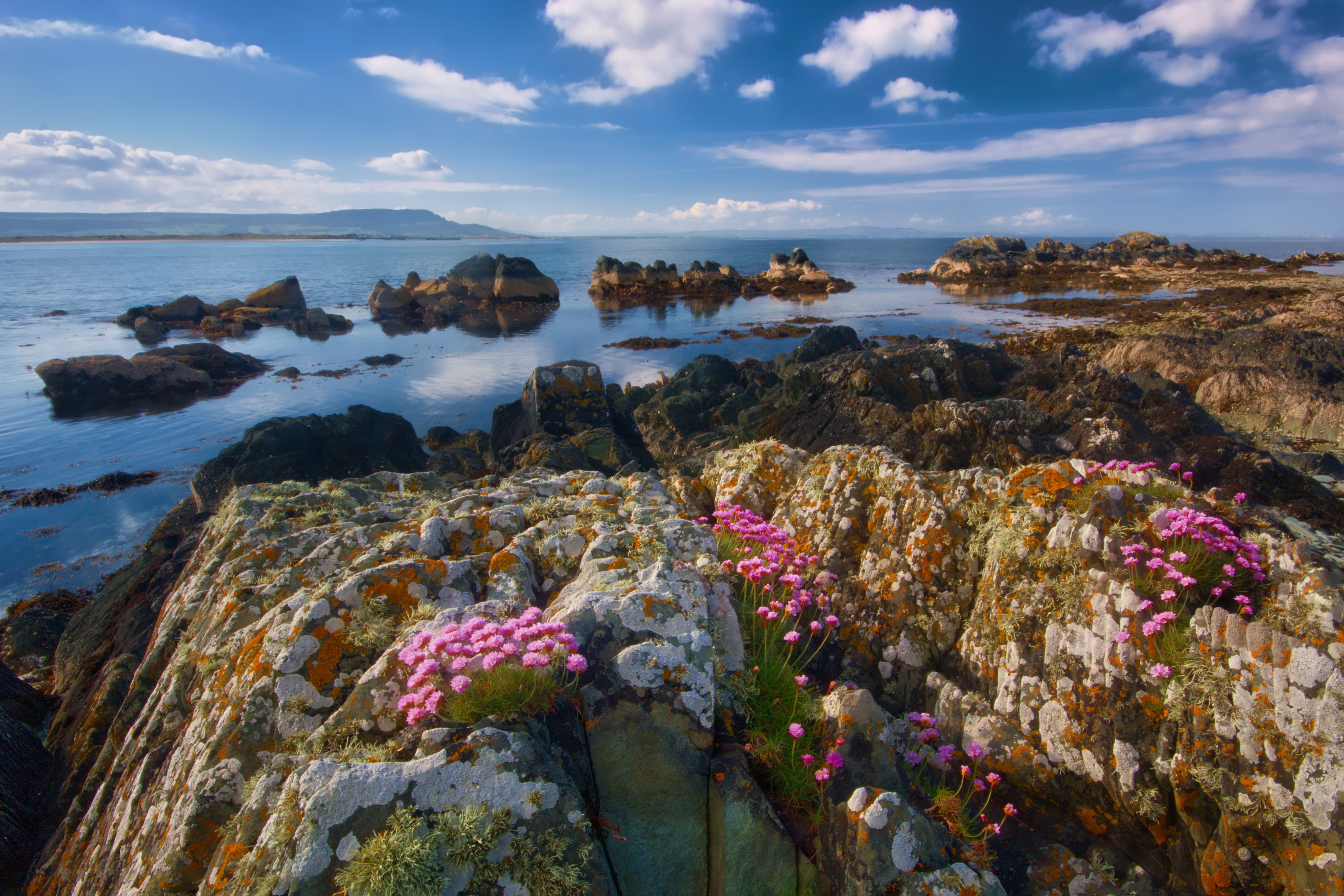 coast, ocean, high angle shot, beach, seascape, beauty in nature, summer, solid, scenics - nature, sunset, flowers, seashore, rock, rock formation, scenic, HD Wallpaper