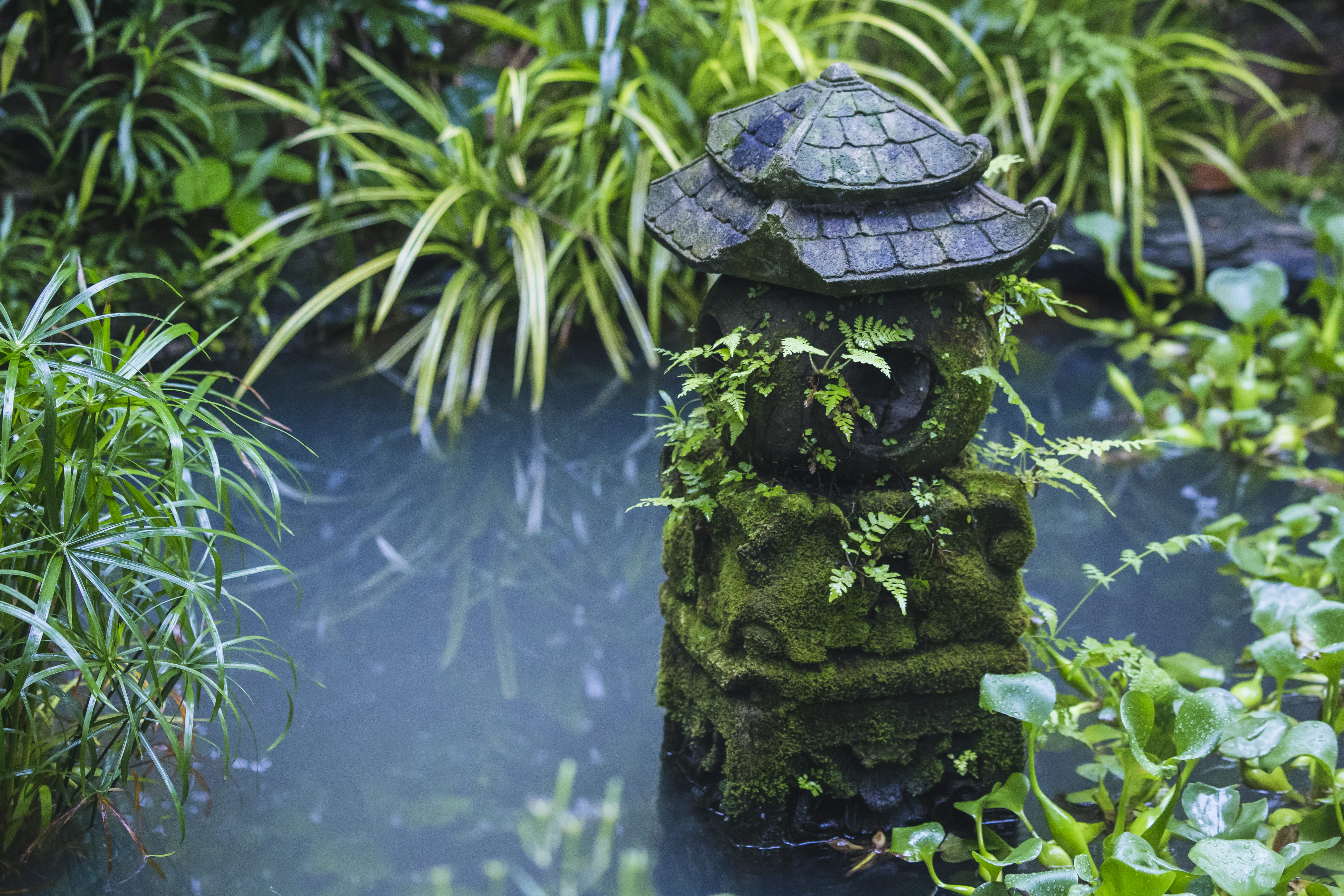 lamp, outdoors, plant part, no people, plant, daytime, Mossy rocks, grass, rocks, stone, 5K, growth, colors, green color, beauty in nature, tree, front or back yard, HD Wallpaper