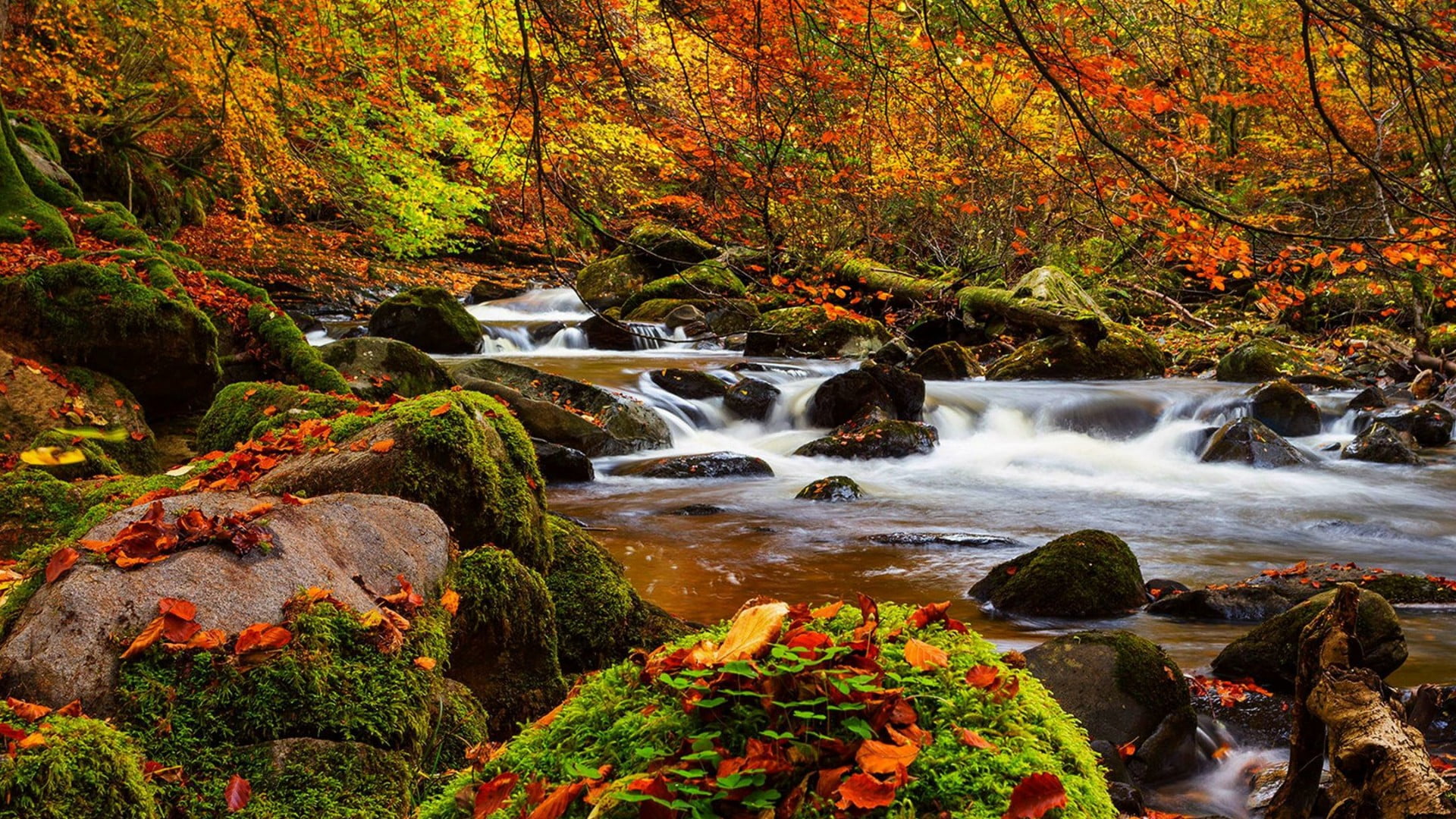 blurred motion, solid, flowing water, mossy, river, running water, autumn, long exposure, landscape, plant, beauty in nature, flowing, idyllic, water, moss, HD Wallpaper