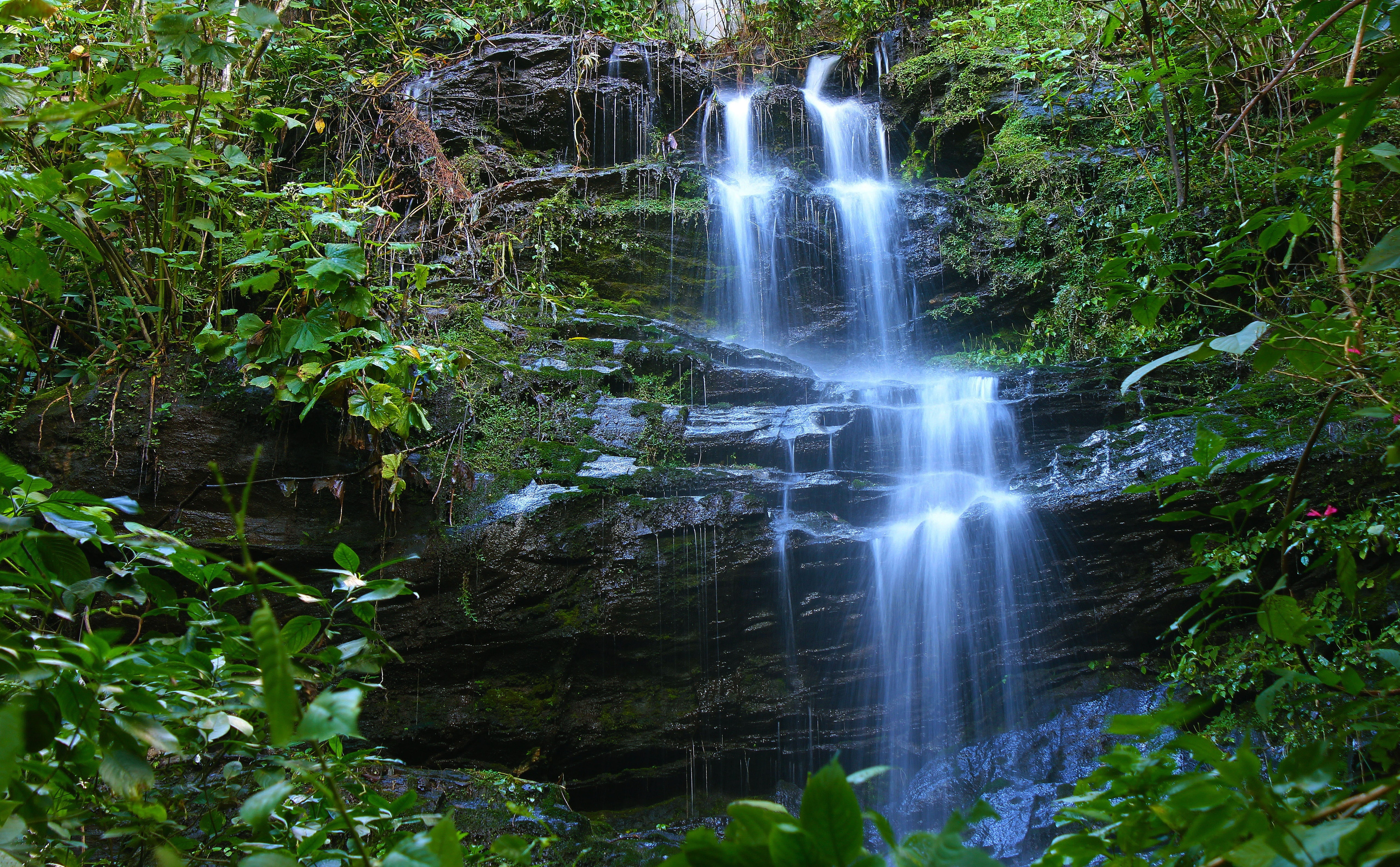 goias, Waterfalls, long exposure, cachoeira, green leaves, forest, plants, green color, South America/Brazil, falling water, waterfall, flowing, growth, HD Wallpaper