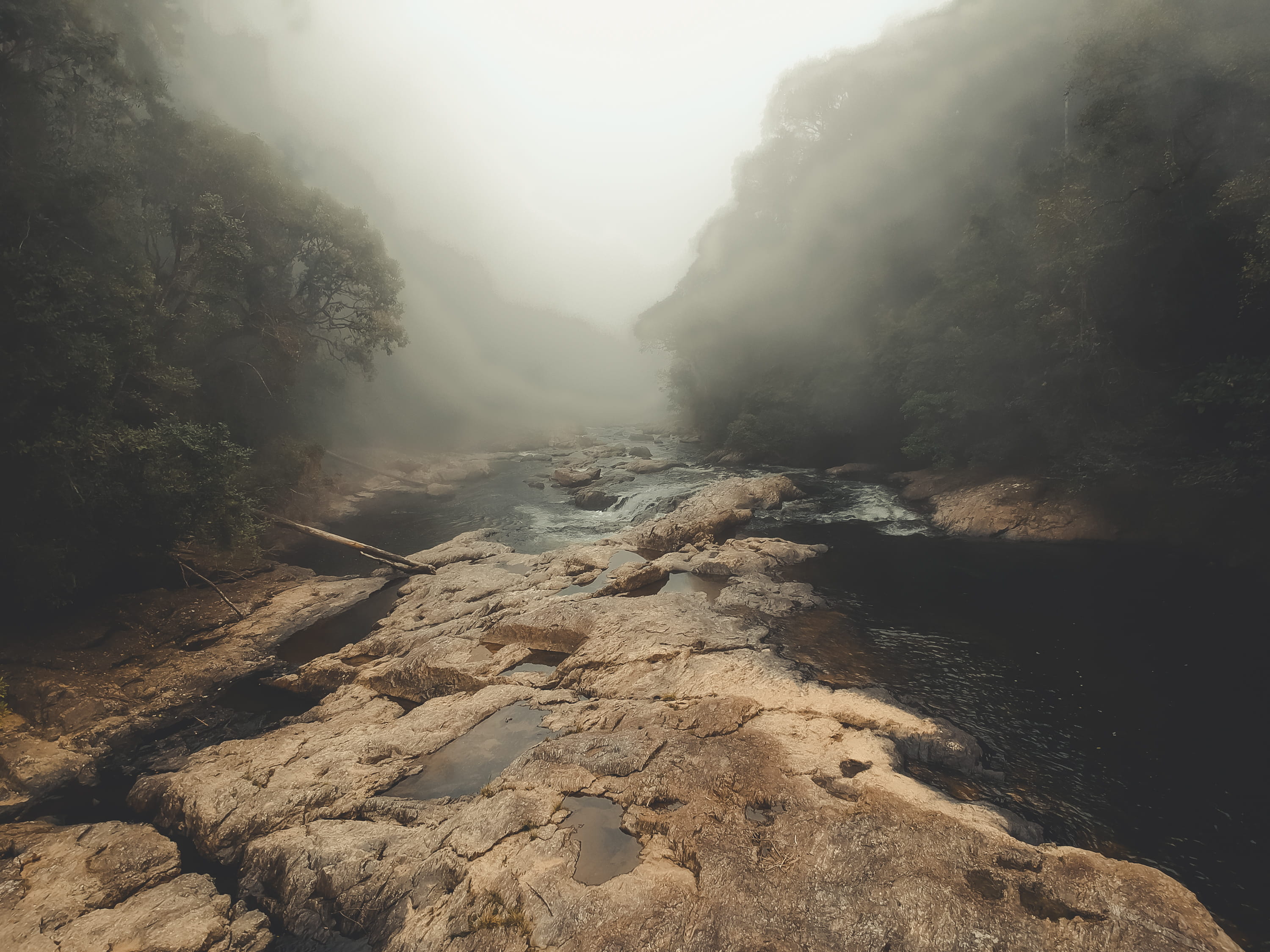 plant, saopaulo, tranquility, solid, riomonos, flowing water, outdoors, day, beauty in nature, barragem, rock, serjosoza, non-urban scene, no people, nature, HD Wallpaper