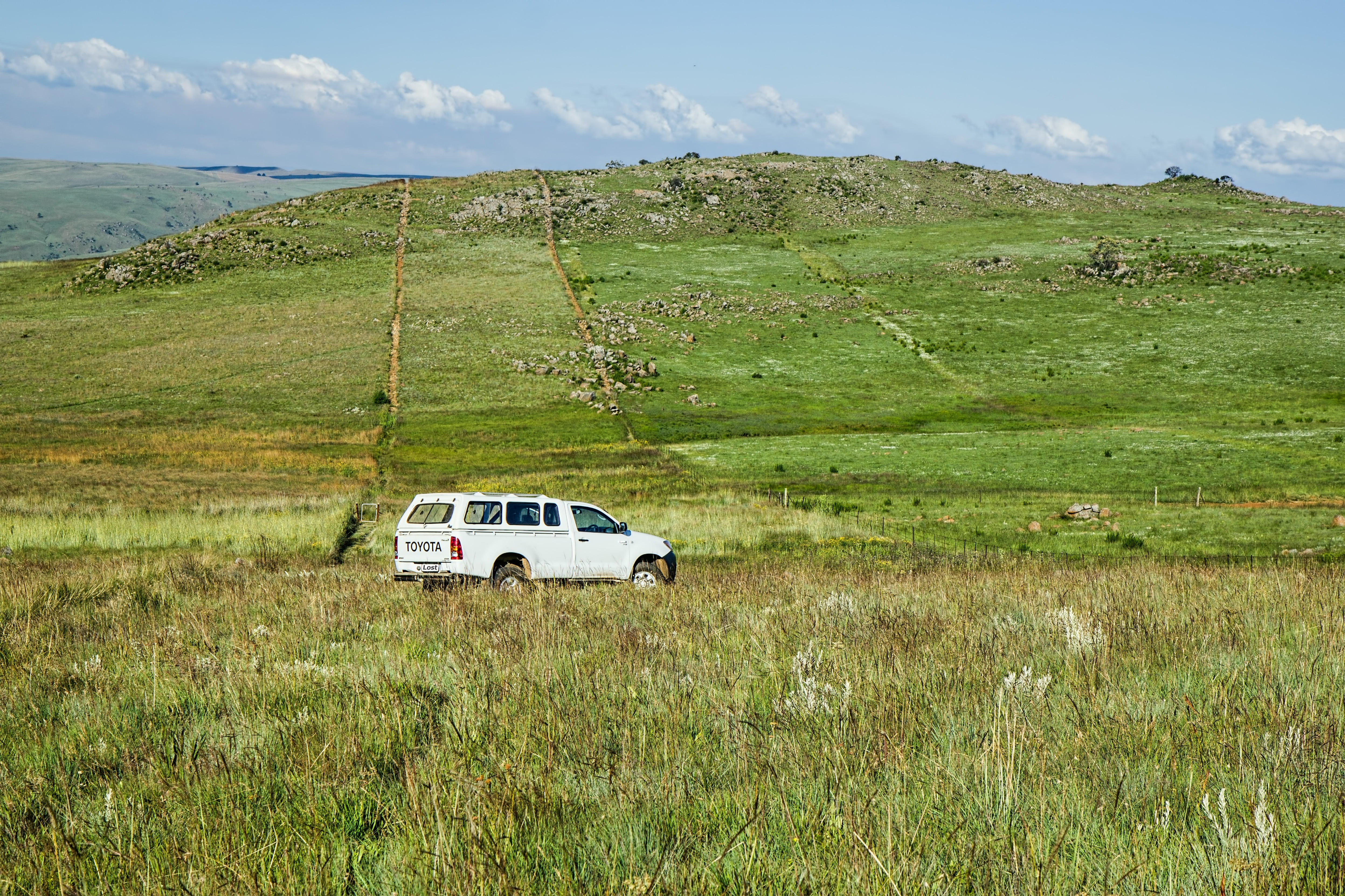 land, field, scenics - nature, scenic, solitude, mode of transportation, truck, transportation, sunny, alone, white, green color, environment, green, grassland, HD Wallpaper