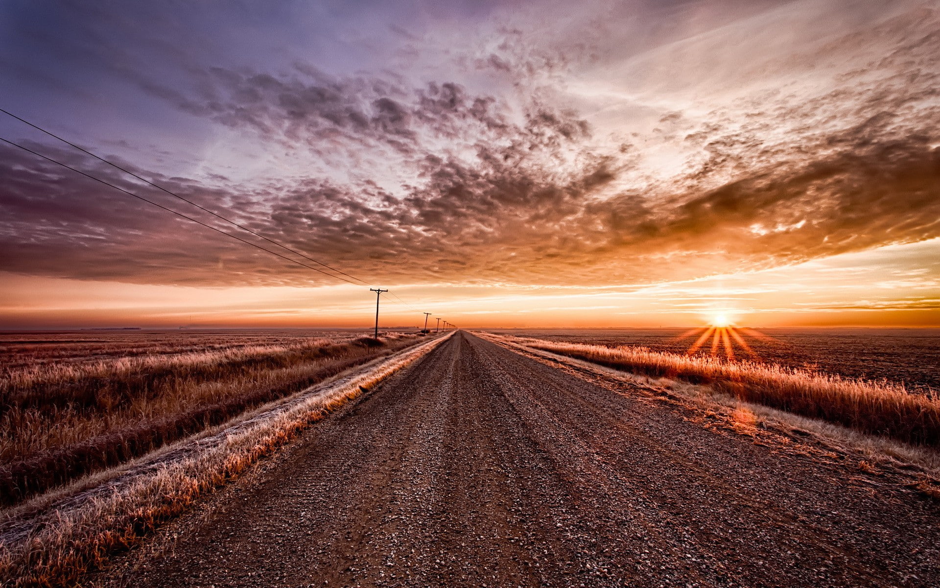 prairie grasses, dirt road, prairie, prairie fields, fields, frost, 1080P, HD Wallpaper