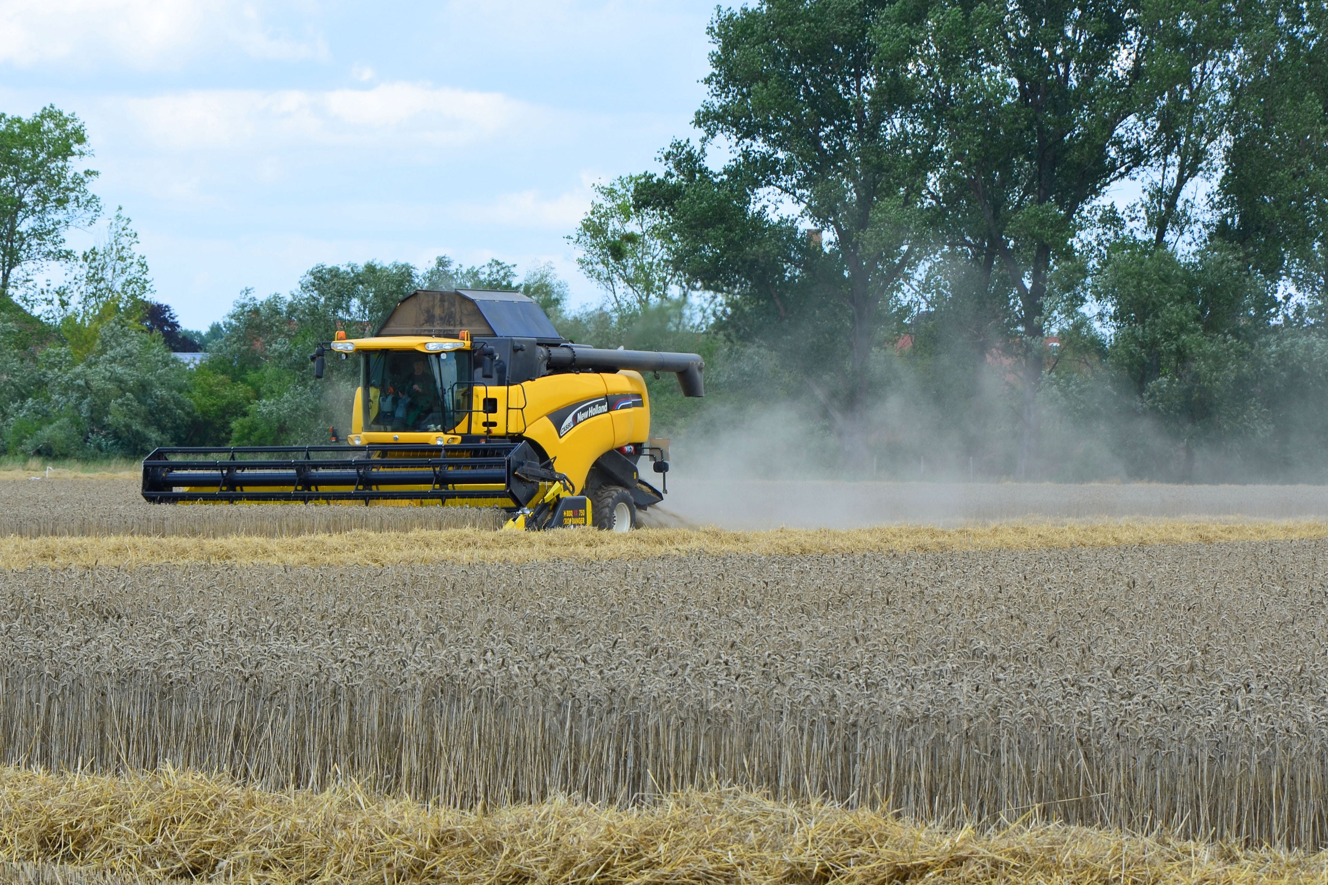 industry, cutting, cornfield, sky, growth, mode of transportation, landscape, harvest, wheat, transportation, cereal Plant, nature, field, working, harvester, HD Wallpaper
