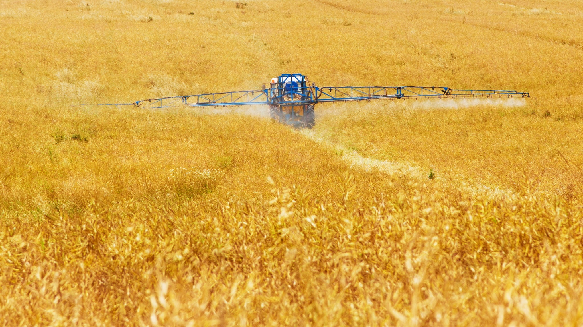 cereal Plant, sunlight, equipment, spraying, fertilizer, no people, environment, land, day, black, combine Harvester, machine, daytime, non-urban scene, HD Wallpaper