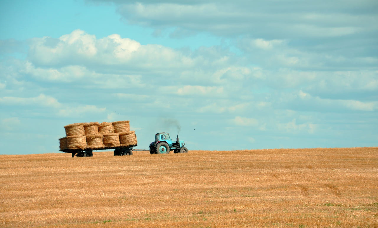 barn, mode of transportation, hays, environment, crop, color Image, brown, outdoors, beauty in nature, rural Scene, machinery, field, hay, farm, agriculture, HD Wallpaper
