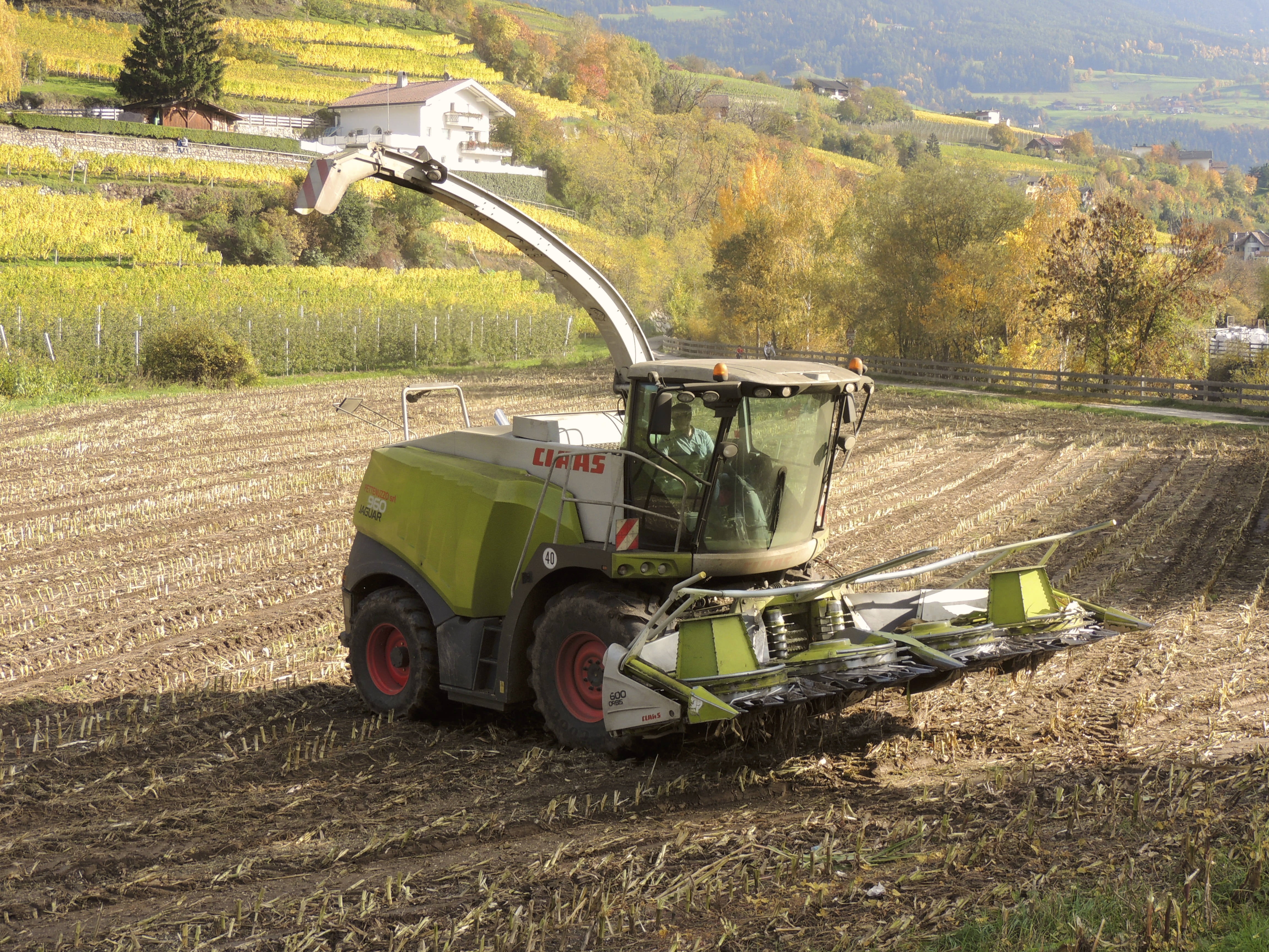 landscape, growth, harvester, plant, food, combine harvester, outdoors, machinery, nature, cornfield, cultivation, day, agricultural equipment, vehicle, HD Wallpaper
