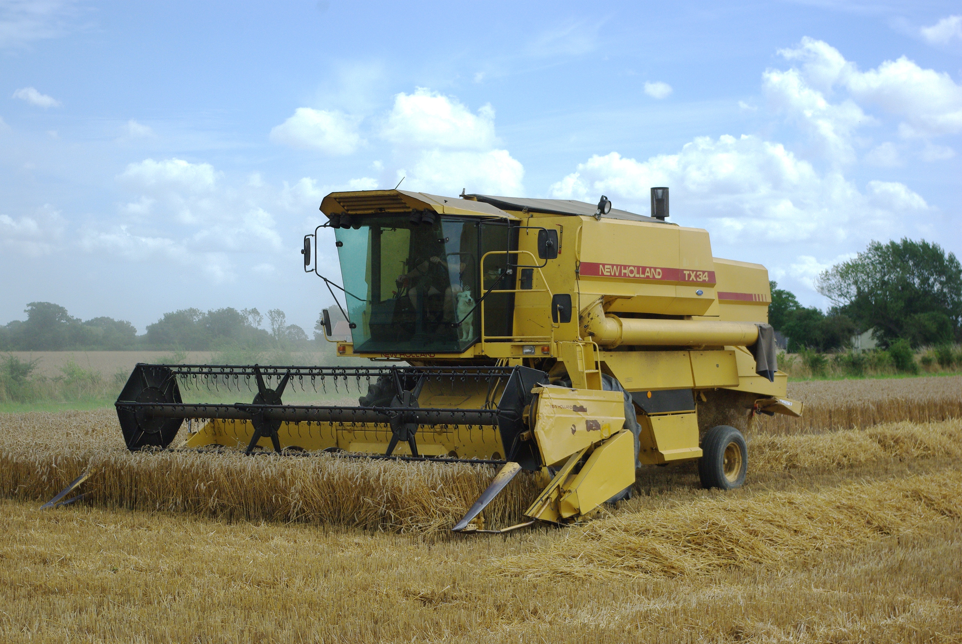 transportation, machinery, landscape, field, dog, growth, farm, farming, agricultural machinery, yellow, cloud - sky, harvest, summer, agriculture, new holland, HD Wallpaper