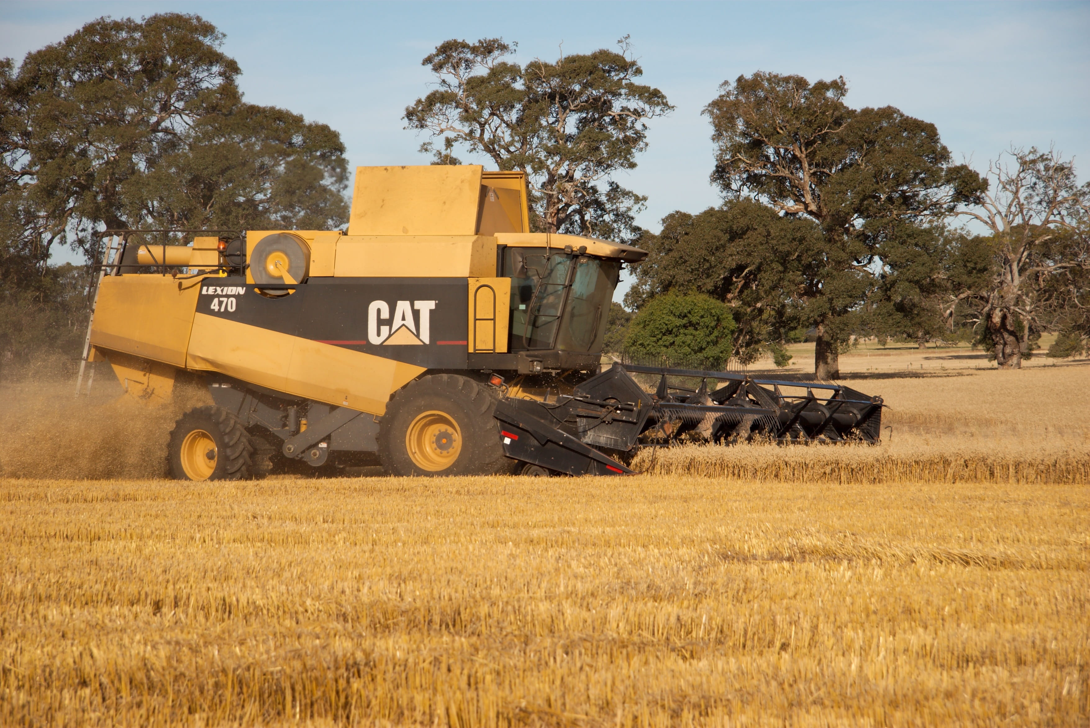 tree, land vehicle, Agriculture, Rural, Header, outdoors, Harvesting, machinery, nature, mode of transportation, agricultural equipment, combine harvester, HD Wallpaper